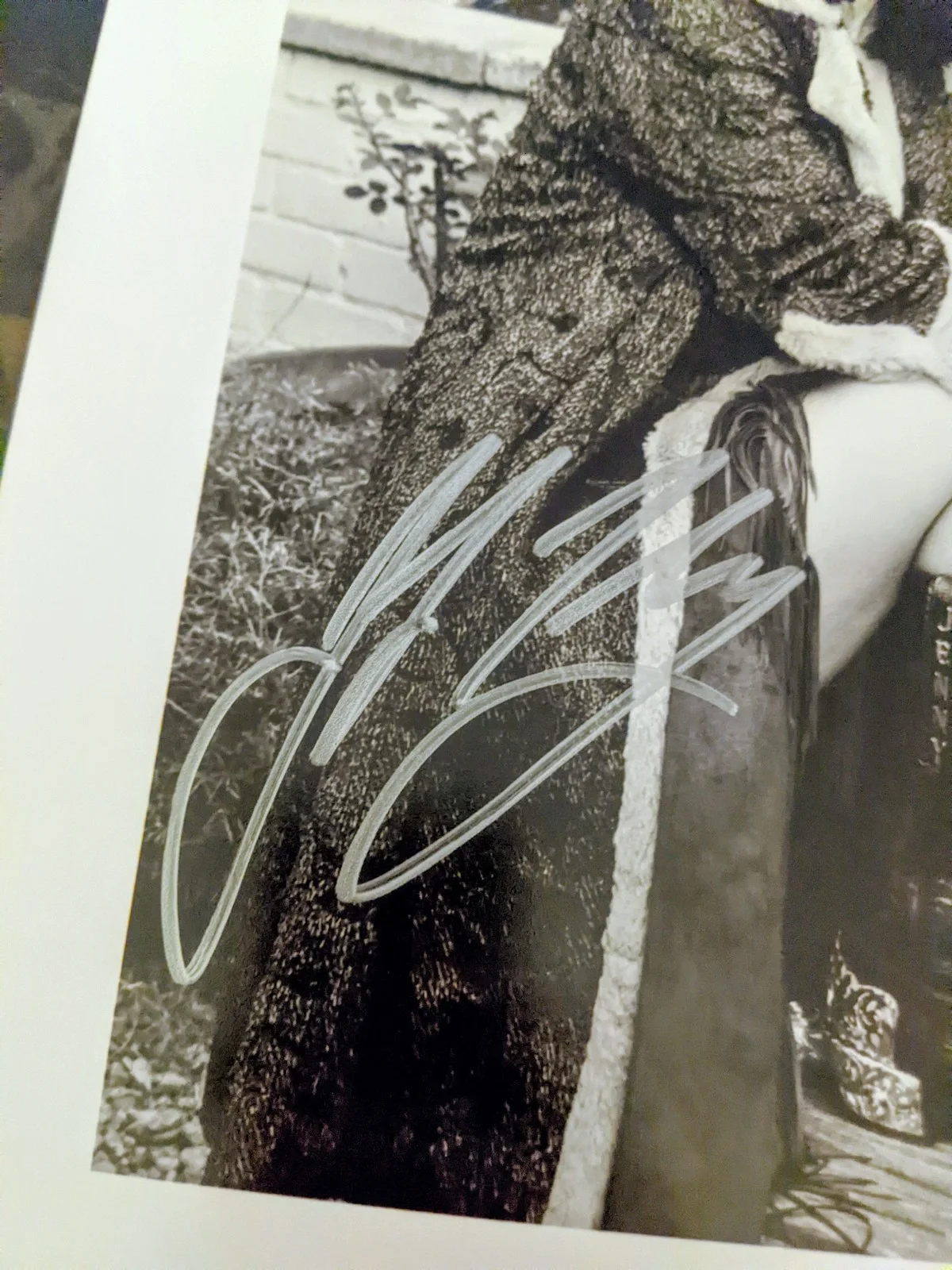 Jennifer Tilly — Jennifer Tilly SIGNED Autograph 8x10 Photo - Actress Family Guy Bride of Chucky, изображение 2