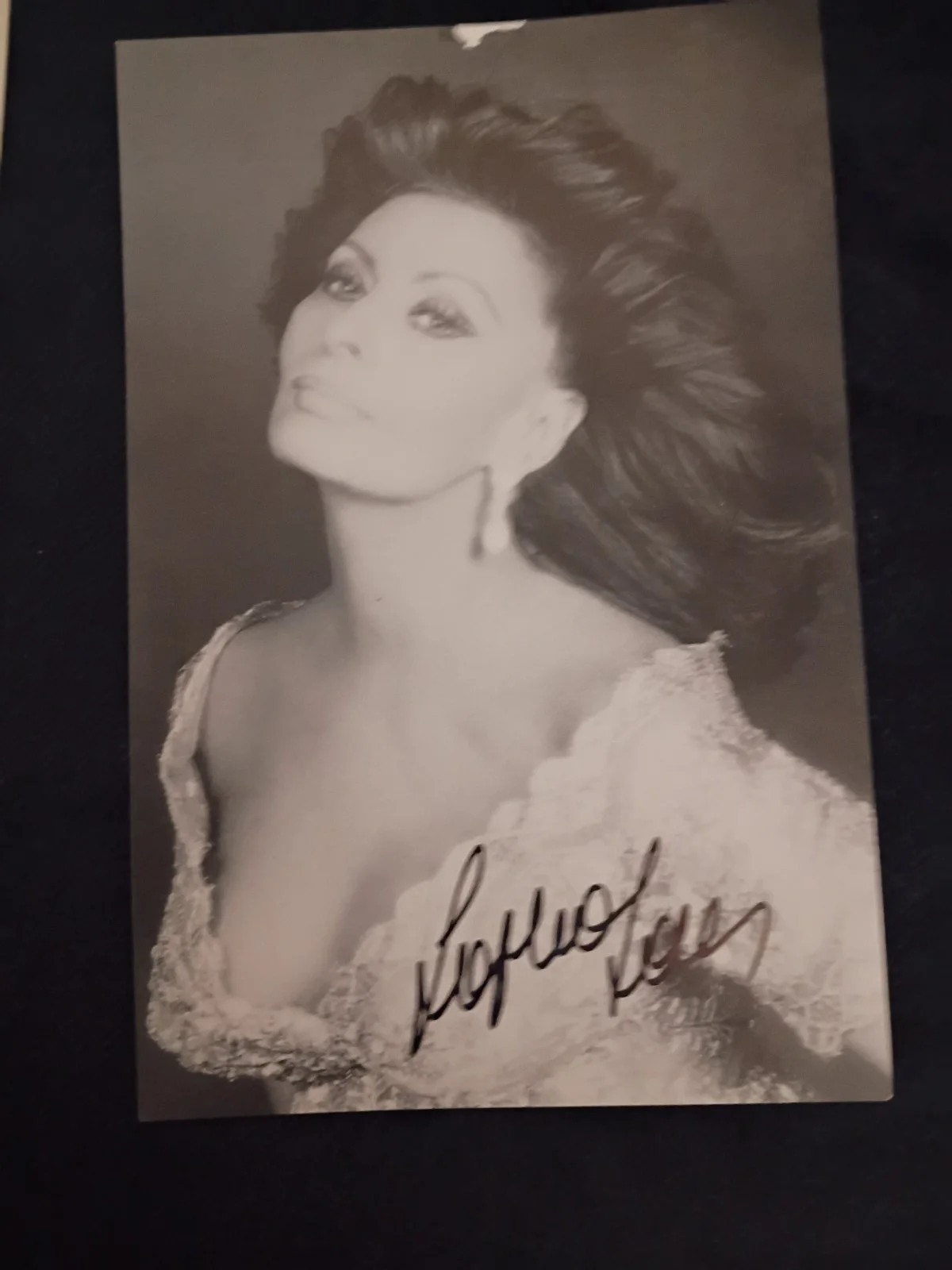 Sophia Loren Signed Lot Photo & 2 Autographed Index Cards, image 2