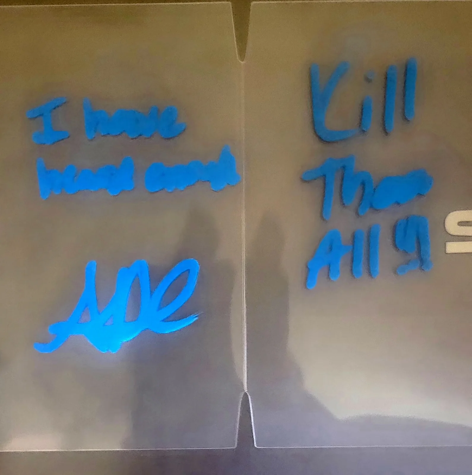 Alycia Debnam Carey — Alycia Debnam Carey Signed Funko Pop Windows Inscriptions 3 Different Colors Opt, image 2