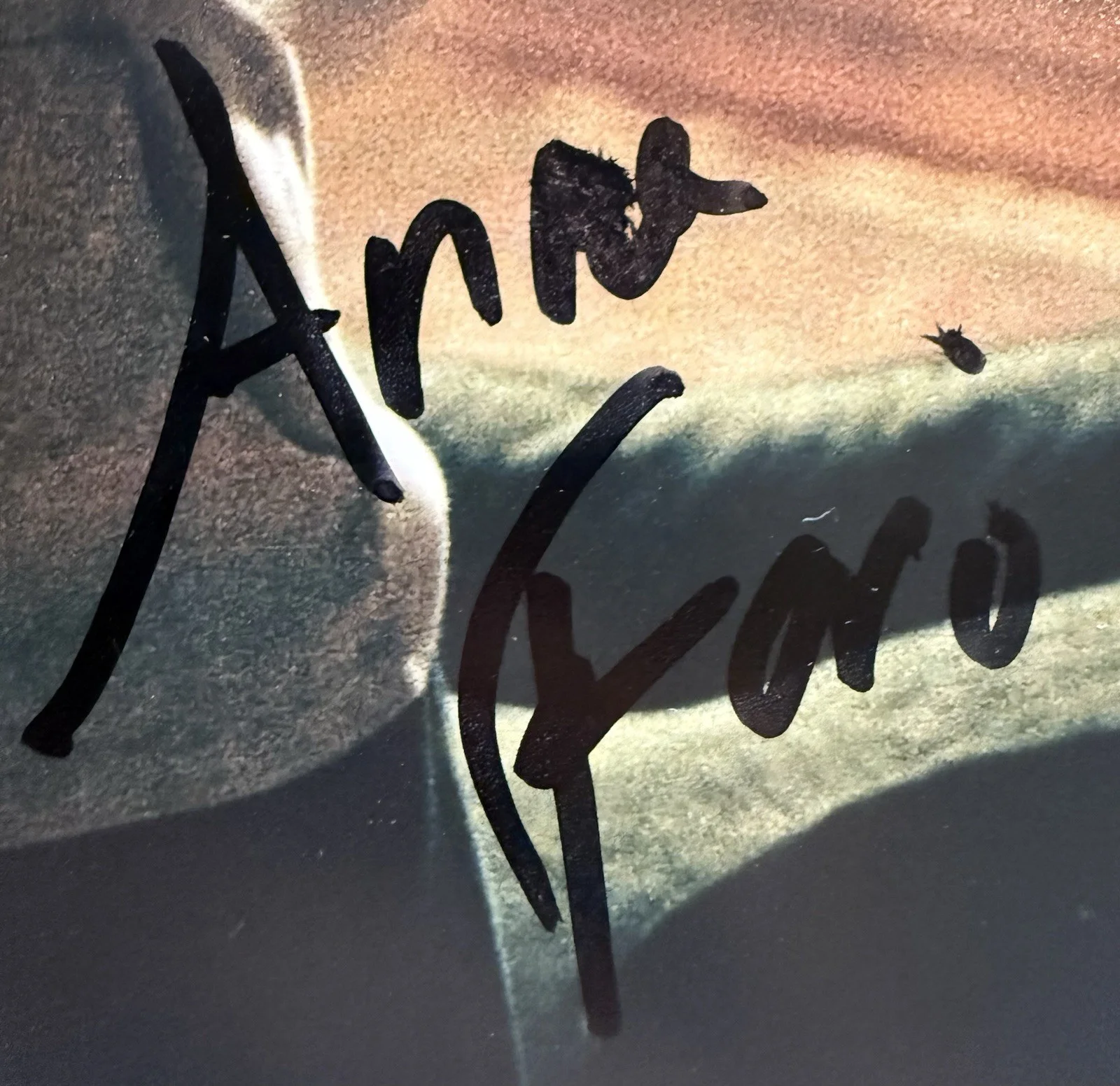Anna Faris — Anna Faris Autograph Signed 8x10 Scary Movie Cindy Photo Beckett COA, image 2