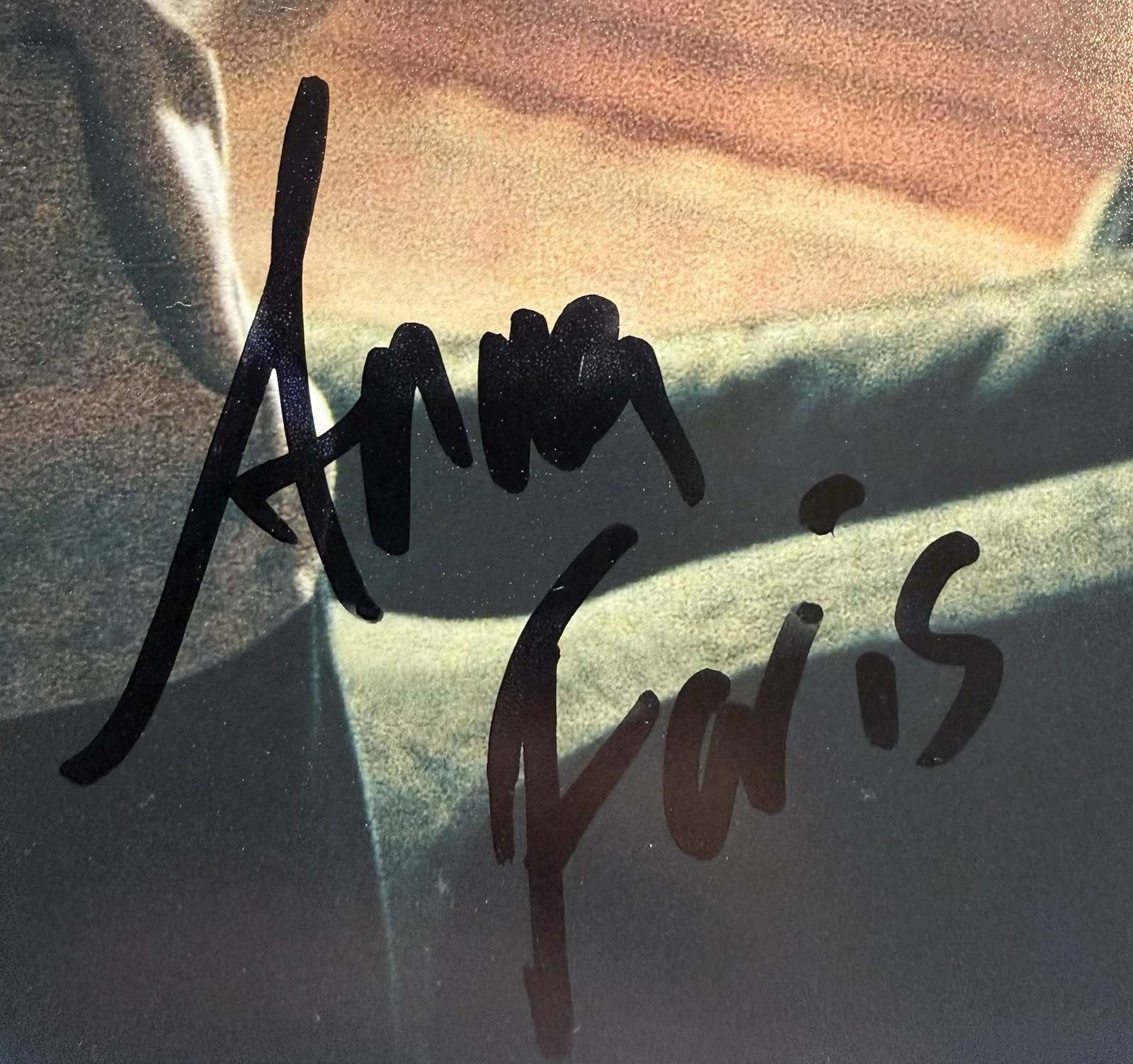 Anna Faris — Anna Faris Autograph Signed 8x10 Scary Movie Cindy Photo Beckett COA, изображение 2