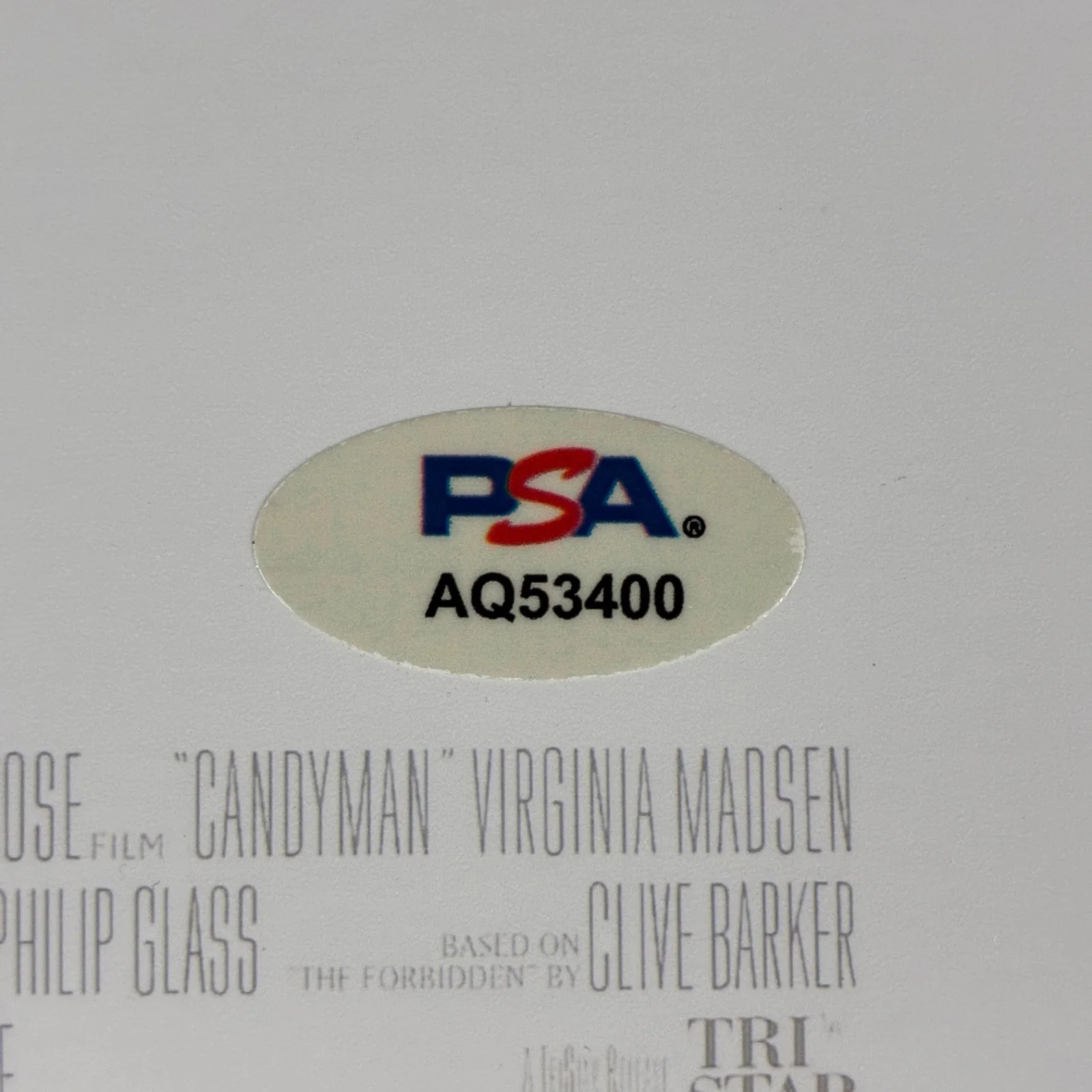 Virginia Madsen — VIRGINIA MADSEN SIGNED 8x10 PHOTO PSA DNA AUTOGRAPH CANDYMAN POSTER, изображение 2