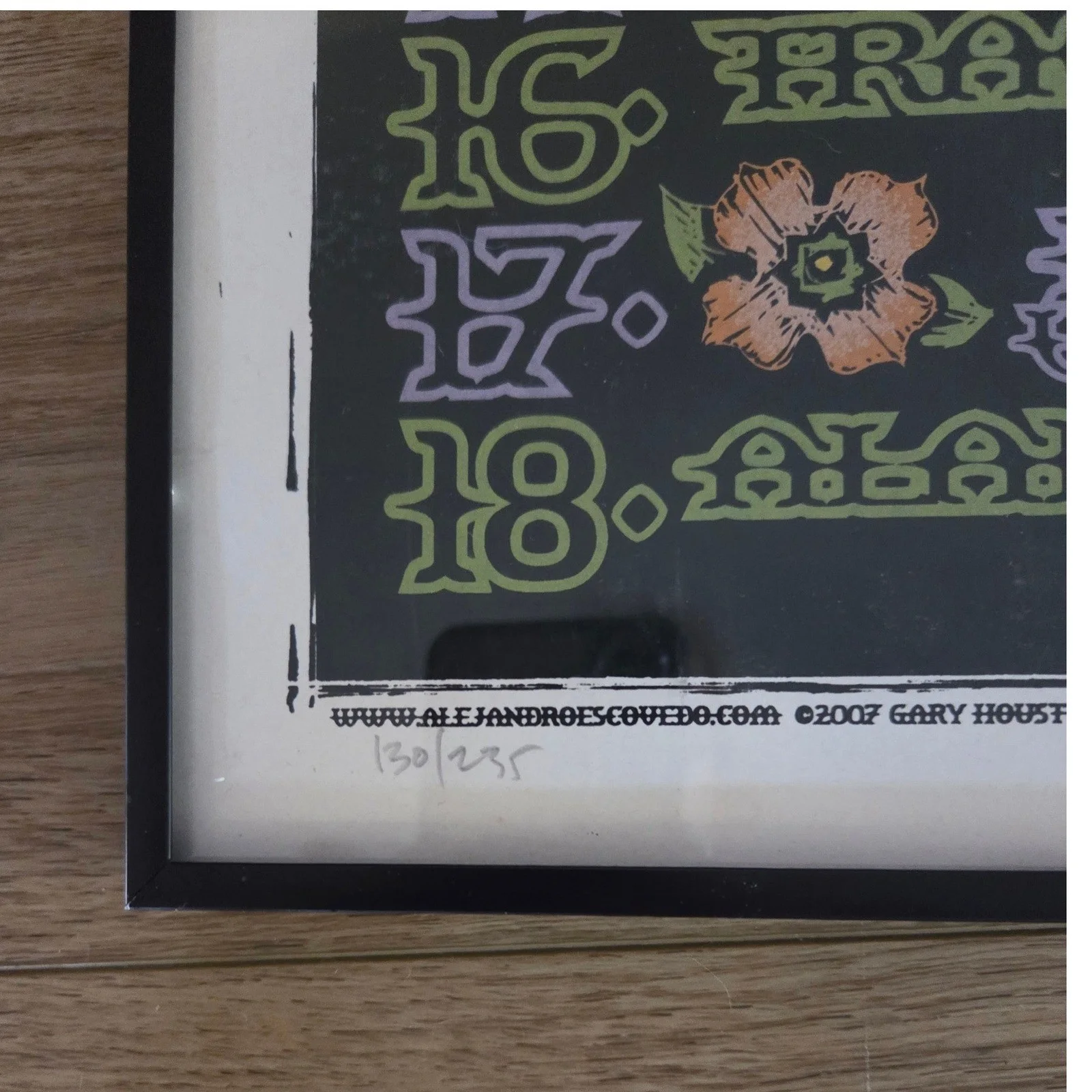 Alejandro Escovedo 2007 Tour Poster Gary Houston Signed Numbered 130/235 Framed, image 2