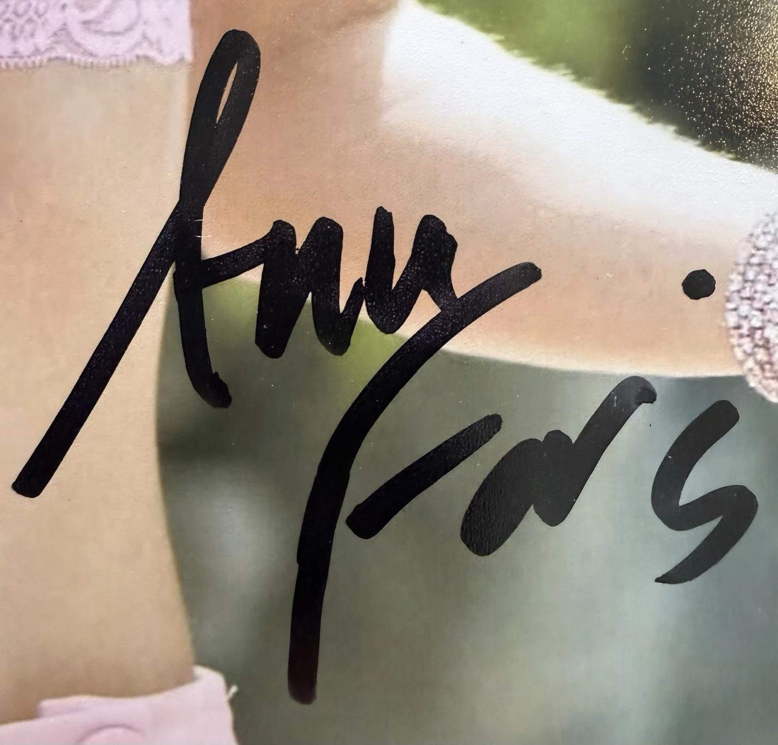 Anna Faris — Anna Faris Signed 8x10 The House Bunny Shelley Darlingson Photo Beckett COA, изображение 2