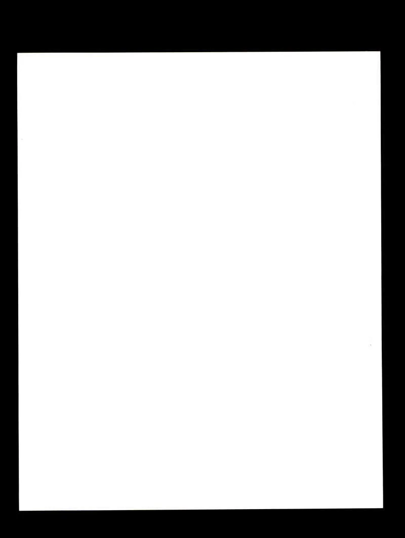 Ireland Baldwin — Ireland Baldwin PSA DNA Coa Signed 8x10 Photo Autograph, изображение 2