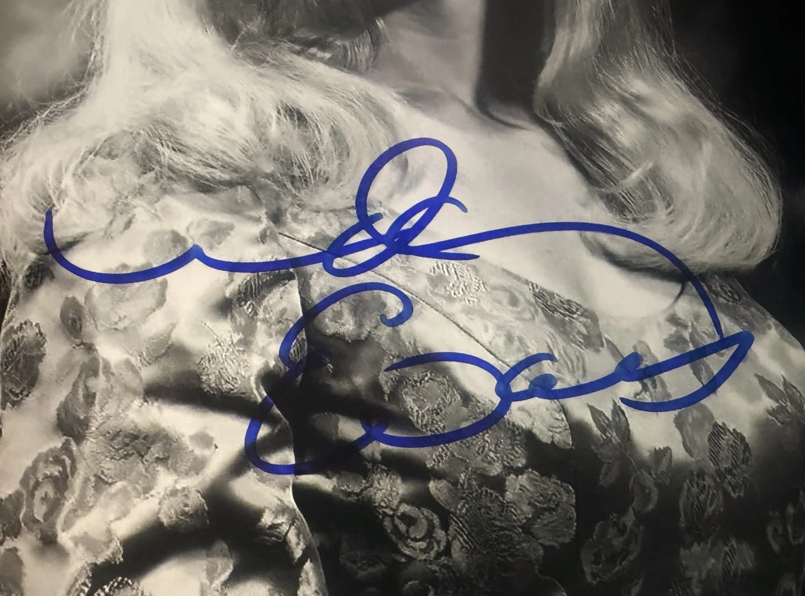 The Big Valley — Linda Evans The Big Valley signed 8x10 photo read description, image 2