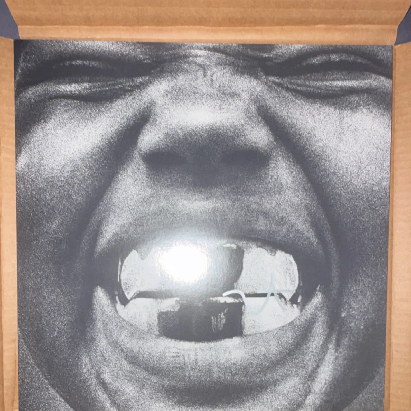 Bully Original Signed Ye AKA Kanye West Limited Edition Vinyl Record Collectible, изображение 2