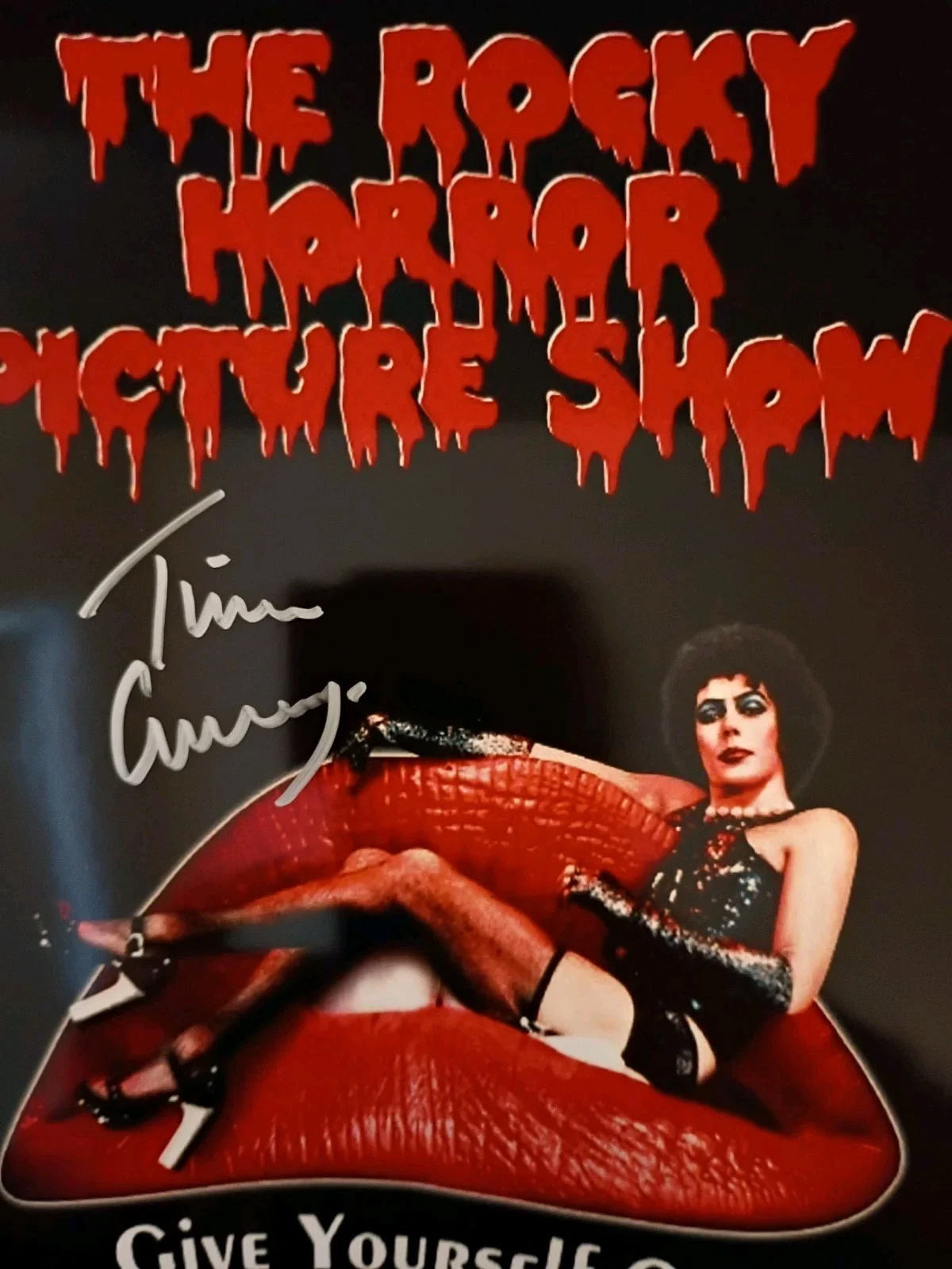 Tim Curry — Tim Curry Rocky Horror Signed 8x10 with COA, image 3