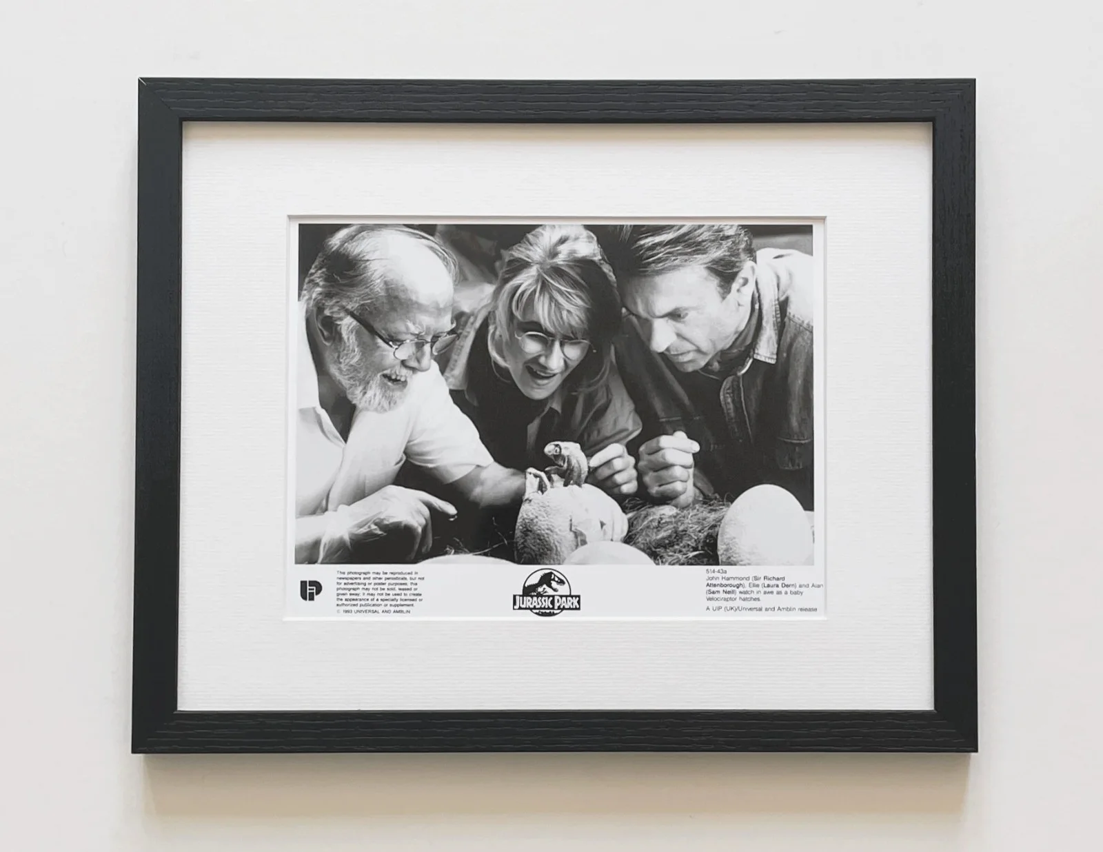 Jurassic Park Photo Framed Original 8X10 Inch B&W Press Publicity Still, изображение 2