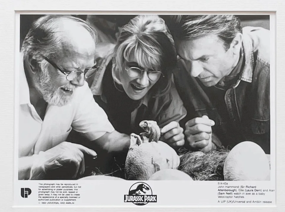 Jurassic Park Photo Framed Original 8X10 Inch B&W Press Publicity Still, изображение 3