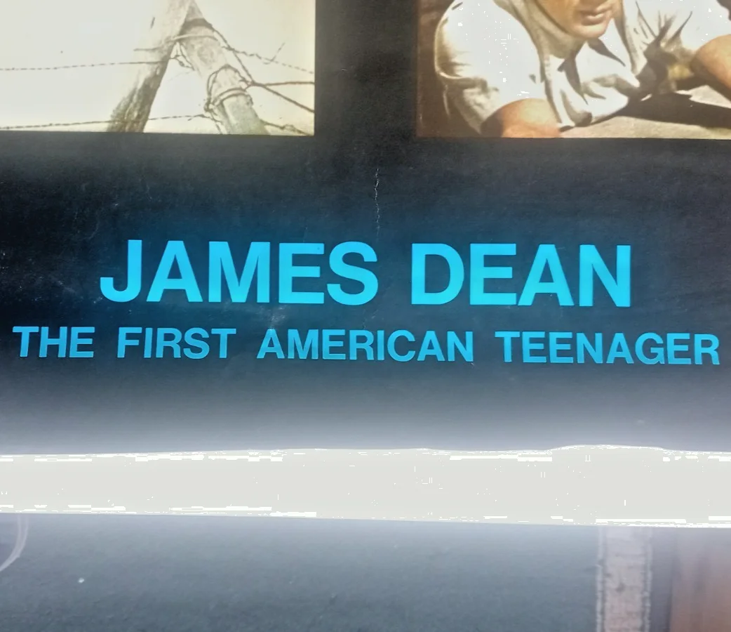 James Dean the first American teenager poster Ziv International 34 x 22 ins 1978, изображение 2
