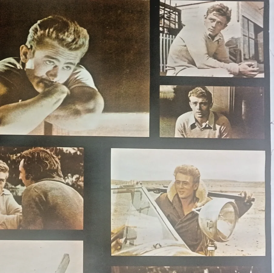 James Dean the first American teenager poster Ziv International 34 x 22 ins 1978, изображение 5