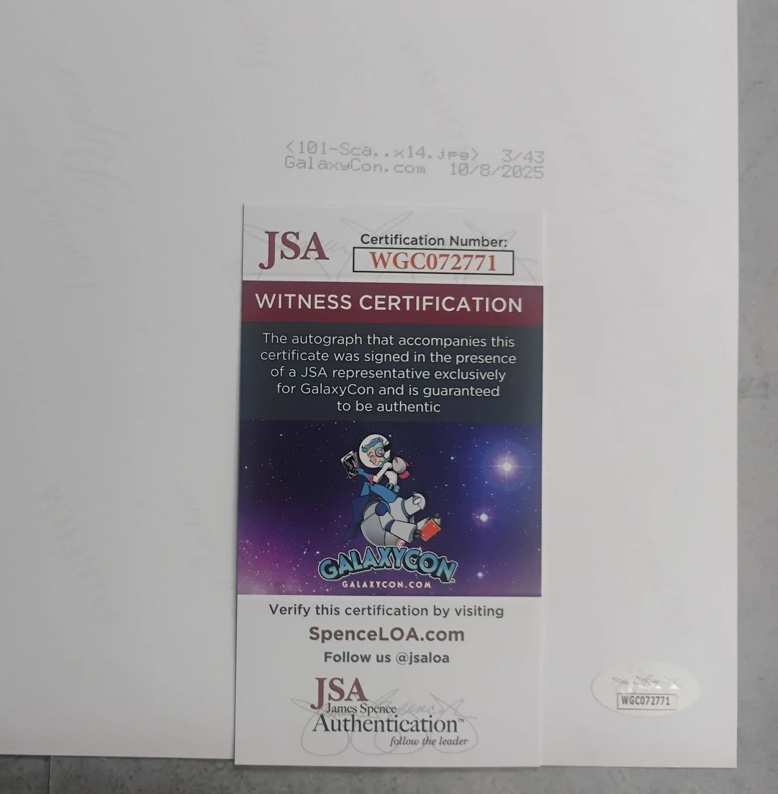 Samantha Scaffidi Hand Signed 11x14 Photo JSA COA Terrifier NO US TARIFF, image 4