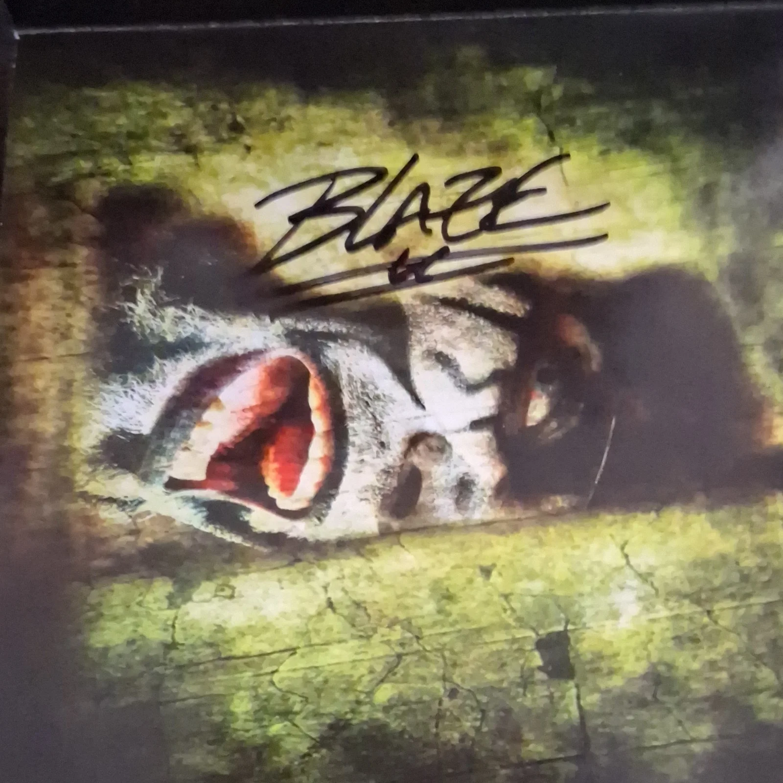 Blaze Ya Dead Homie The Casket Factory Signed CD & Booklet 2016 Original, изображение 5