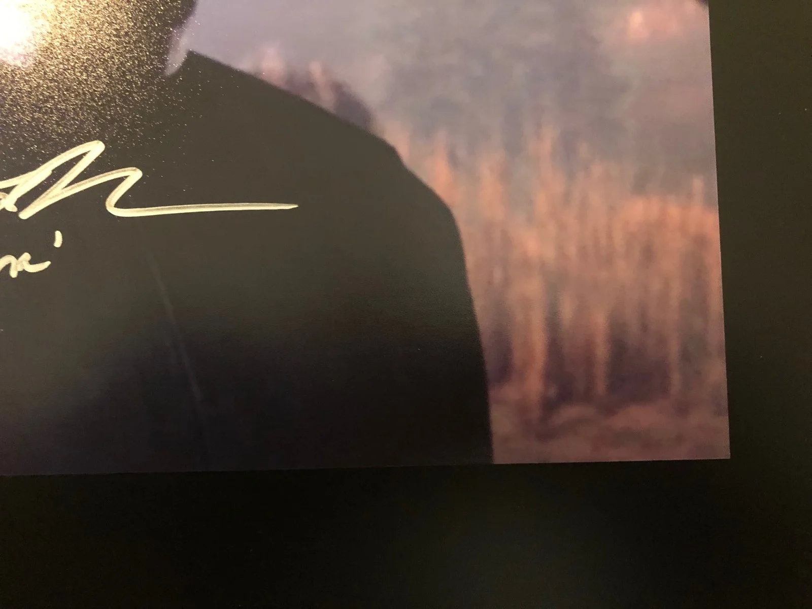 Phil LaMarr — Phil LaMarr Signed 11x14 Star Wars: Tales of the Jedi Bail Organa Autograph, изображение 4