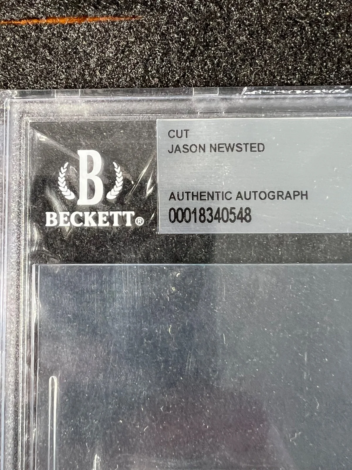 Signed Autographed Metallica Jason Newsted on Fabric Beckett Encased COA, image 2