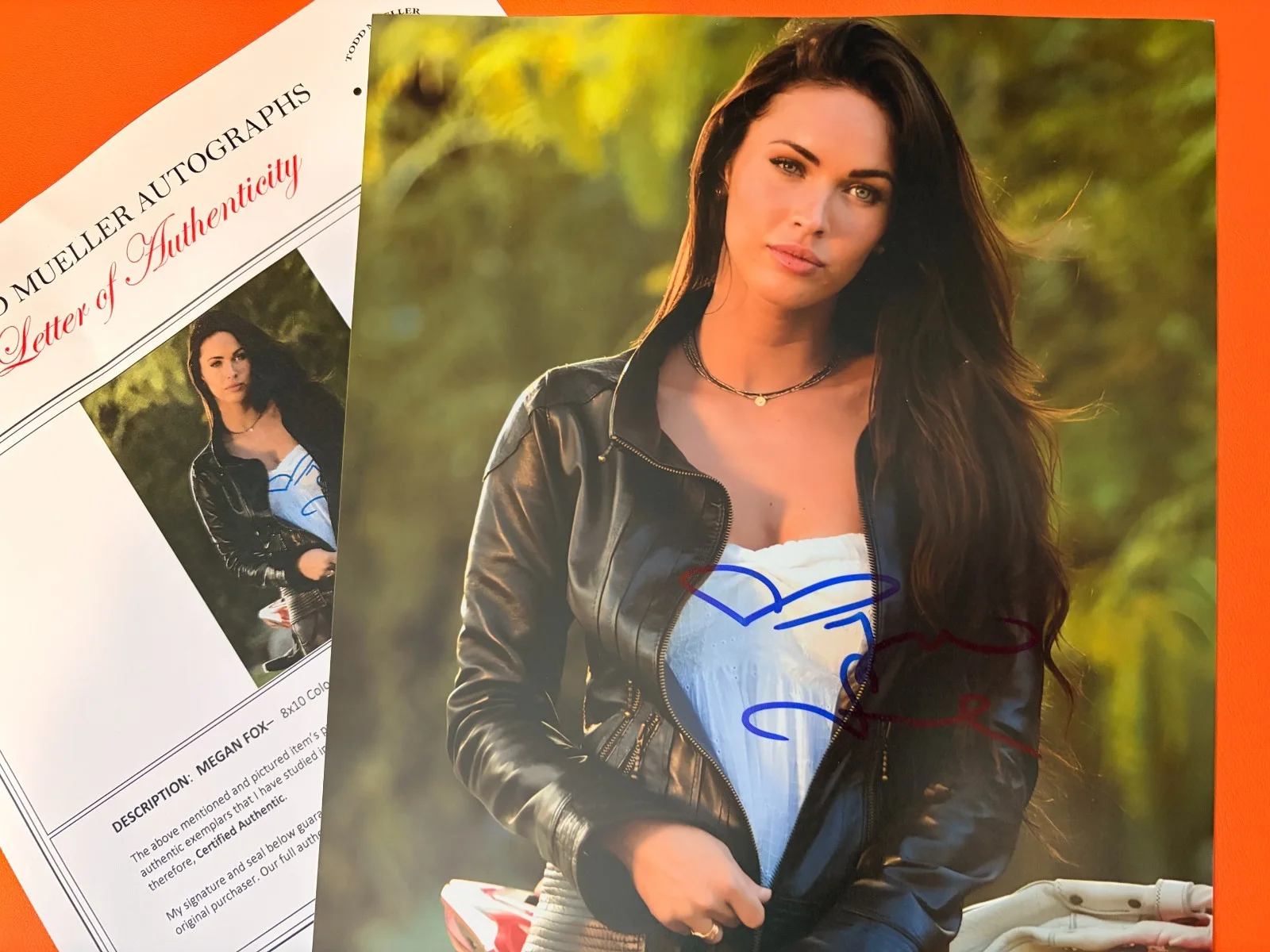 Megan Fox — Megan Fox Signed•Transformers:Revenge of the Fallen•8x10•Todd Mueller Autograph, image 2