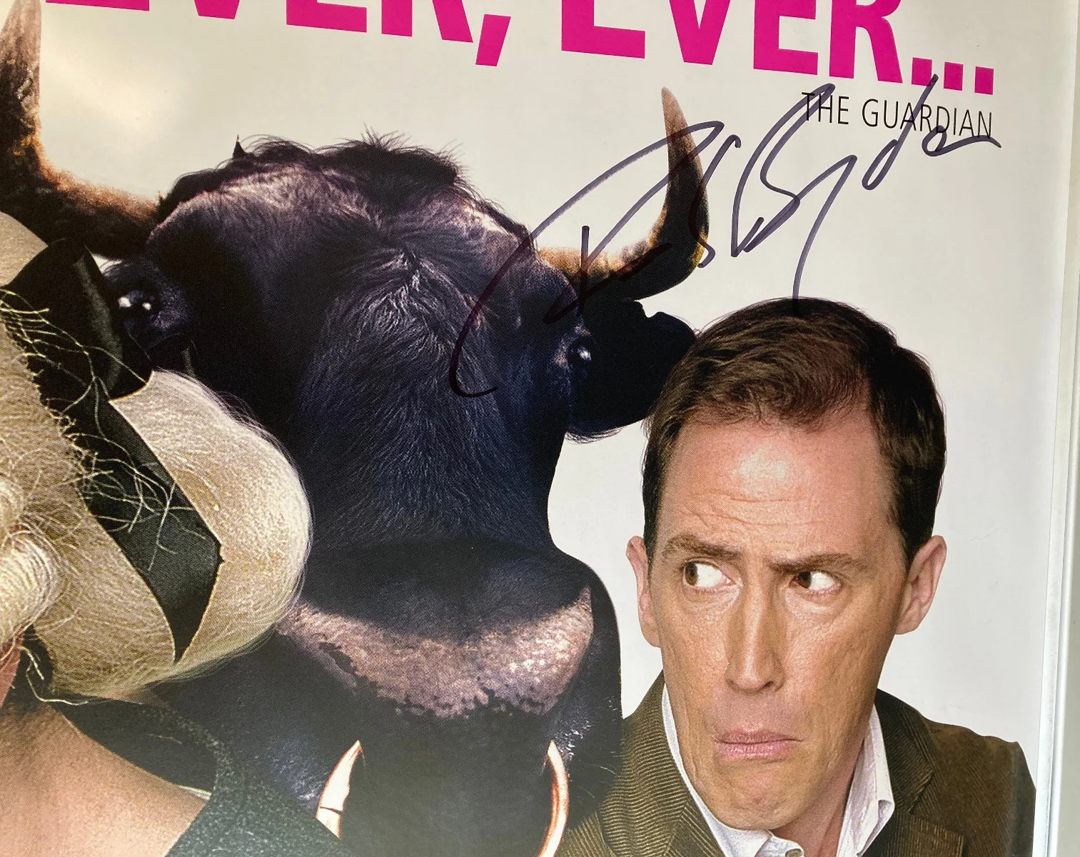Cinema Poster: A COCK AND BULL STORY 2006 Quad Signed by Steve Coogan Rob Brydon, изображение 4