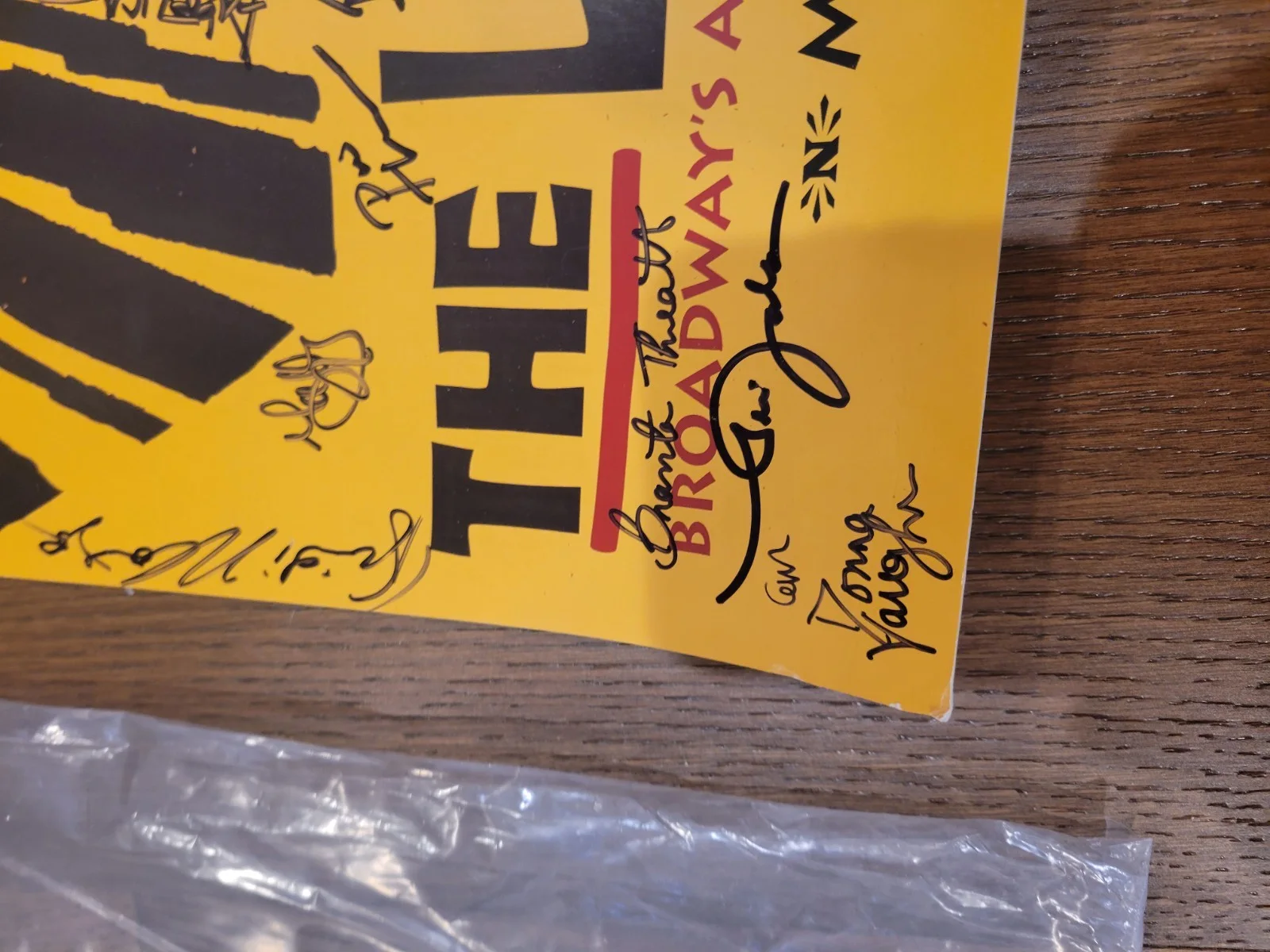 CAST — Disney Autographed Broadway THE LION KING Full Cast Signed Poster Signatures, изображение 4