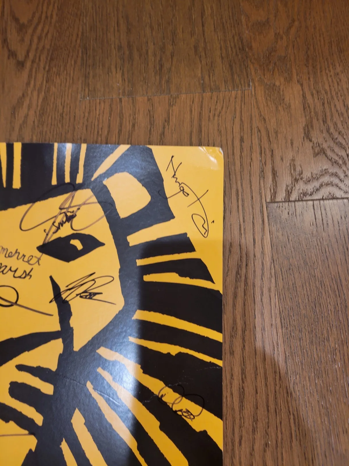 CAST — Disney Autographed Broadway THE LION KING Full Cast Signed Poster Signatures, изображение 5