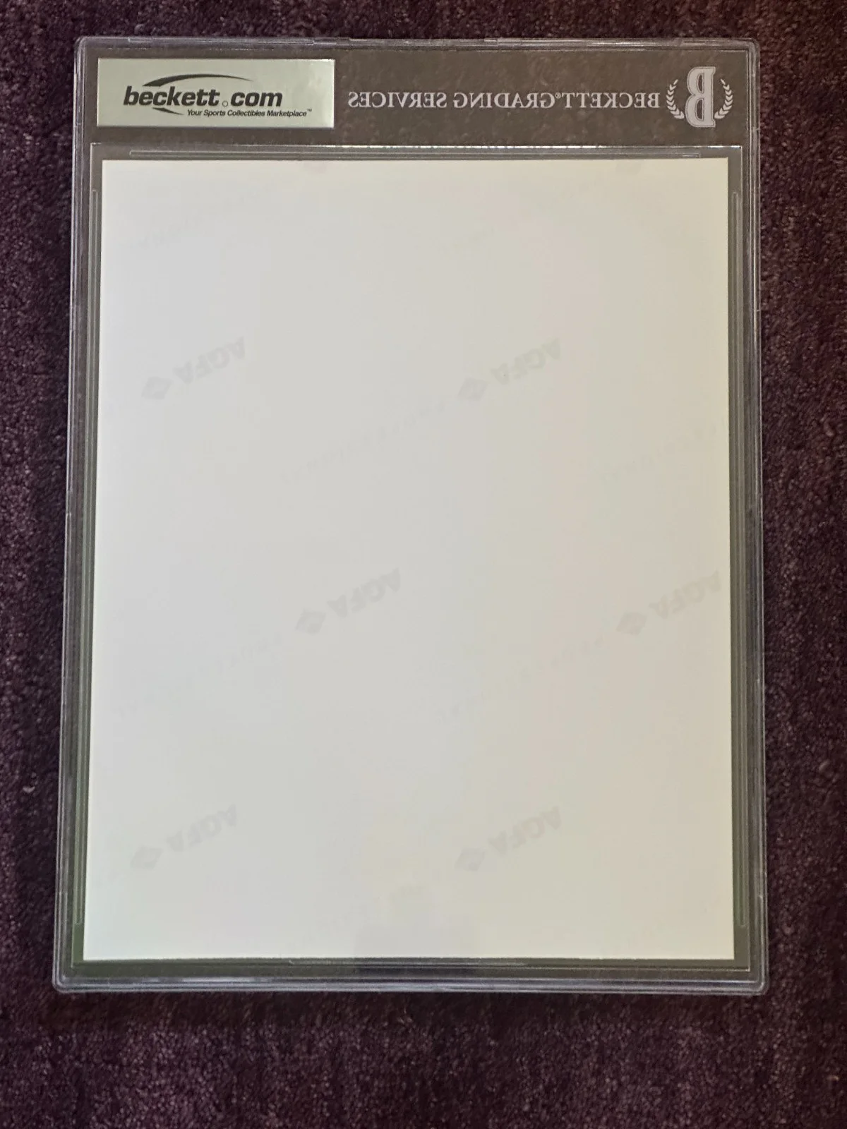 BETTE MIDLER — BETTE MIDLER Signed 8 X 10 PHOTO Beckett Encapsulated AUTO 10, изображение 4