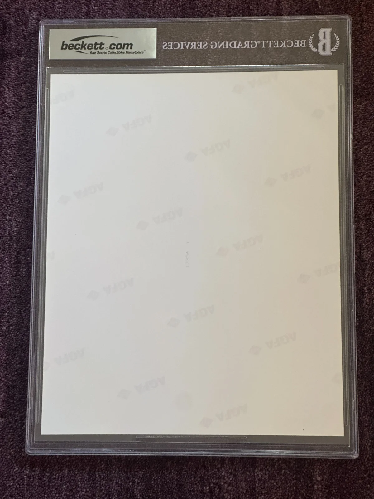TOM SELLECK — TOM SELLECK Signed 8 X 10 PHOTO Beckett Encapsulated AUTO 10, изображение 4