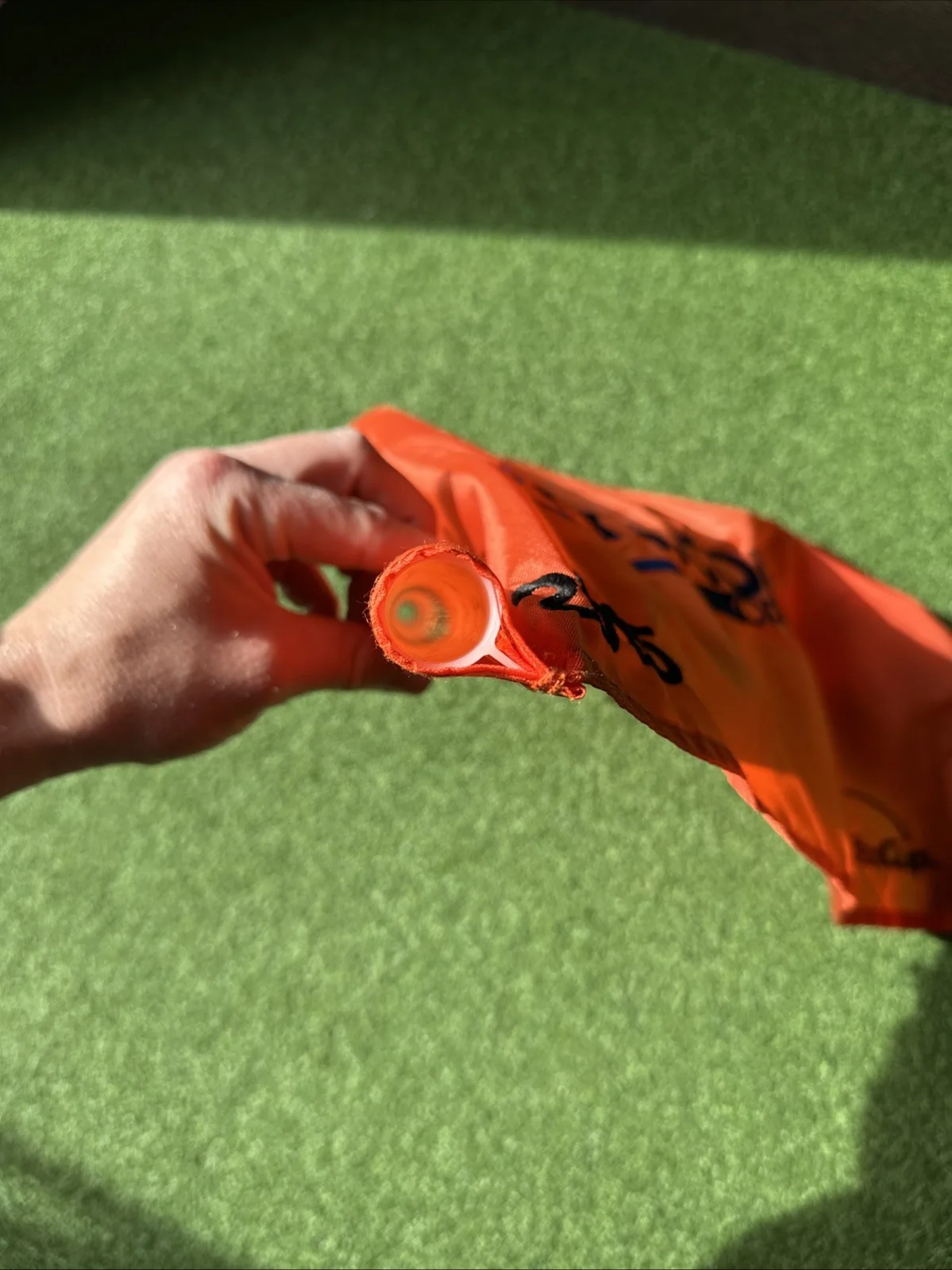 Signed Fry’s Flag Emilio grillo, image 3
