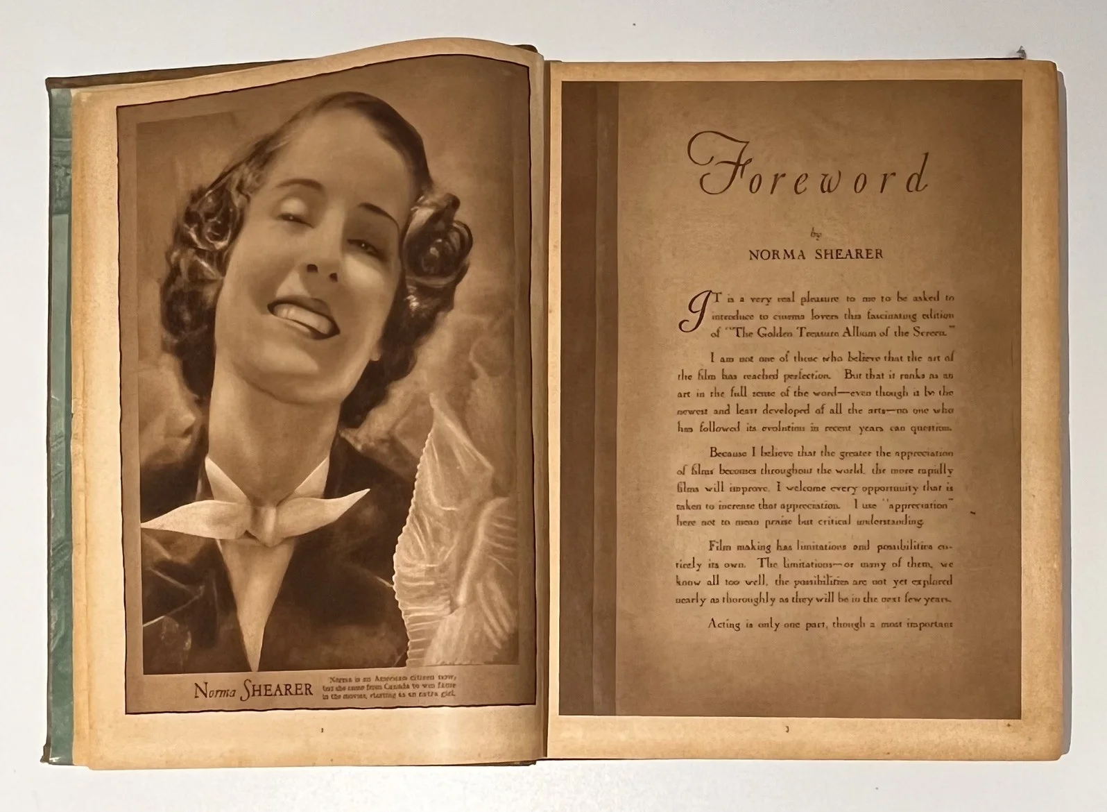 The Golden Treasure Album Of The Screen - Vintage Hard Back - 1933, изображение 4
