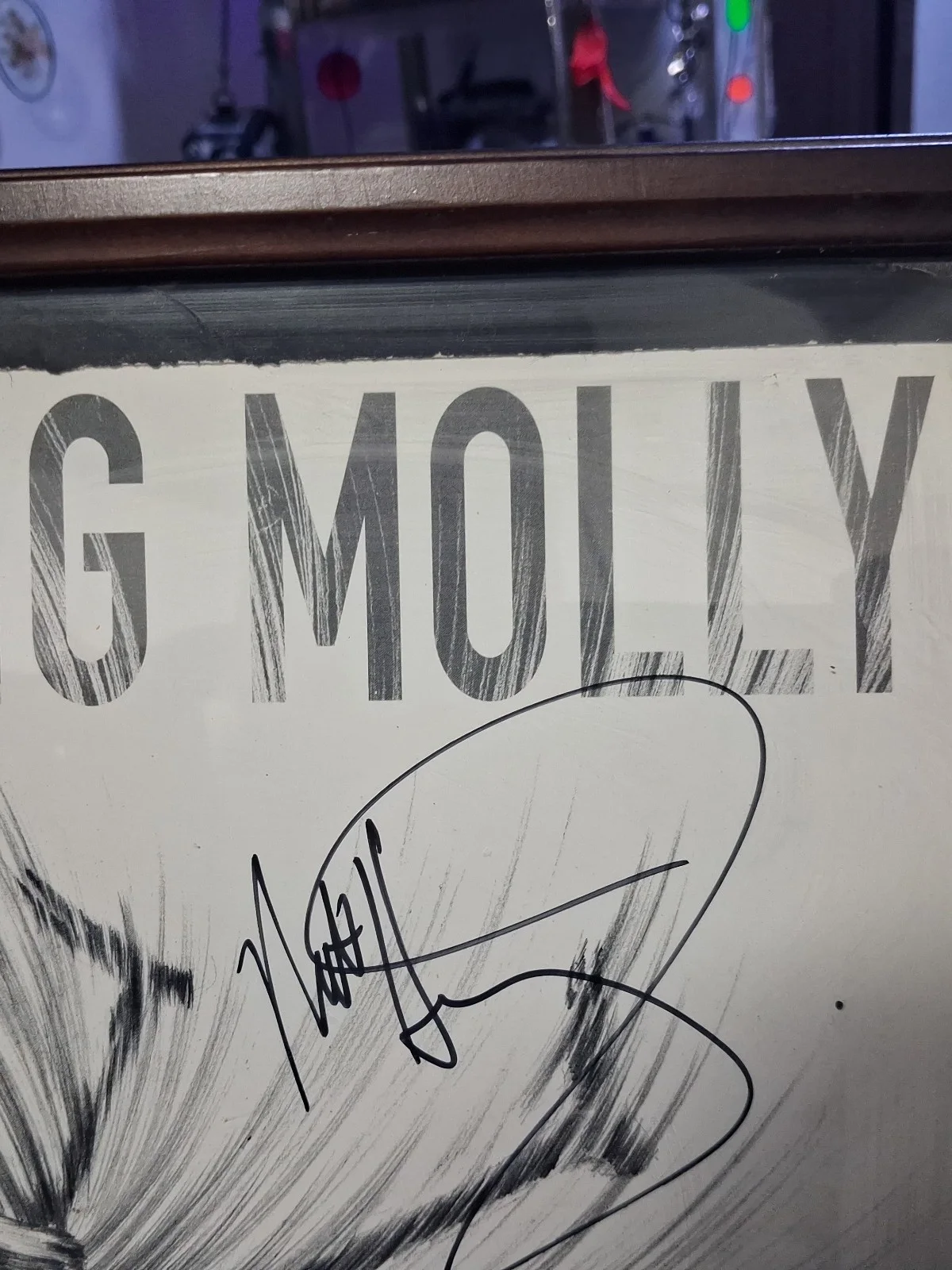12x12 Flogging Molly Speed Of Darkness Autographed Poster, image 3