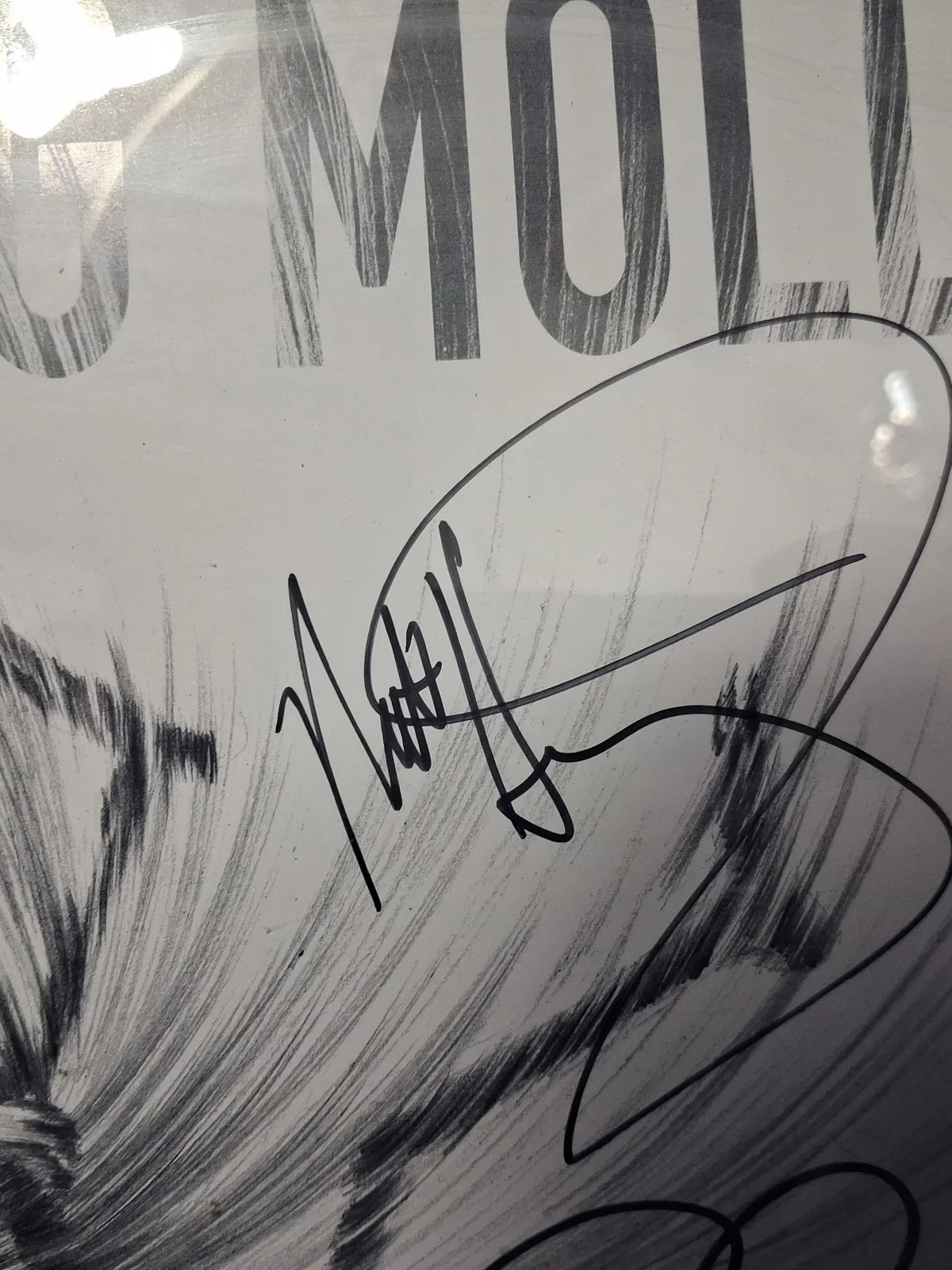 12x12 Flogging Molly Speed Of Darkness Autographed Poster, image 5