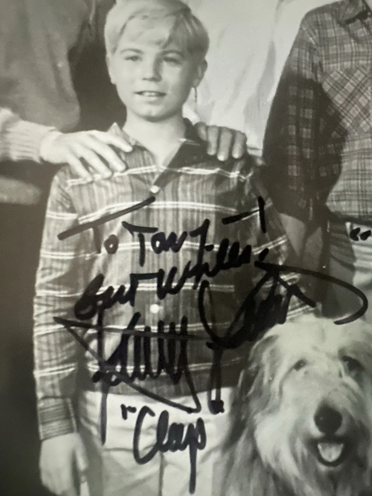 Stanley Livingston My Three Sons Autographed 8x10 Black And White Photo, изображение 3