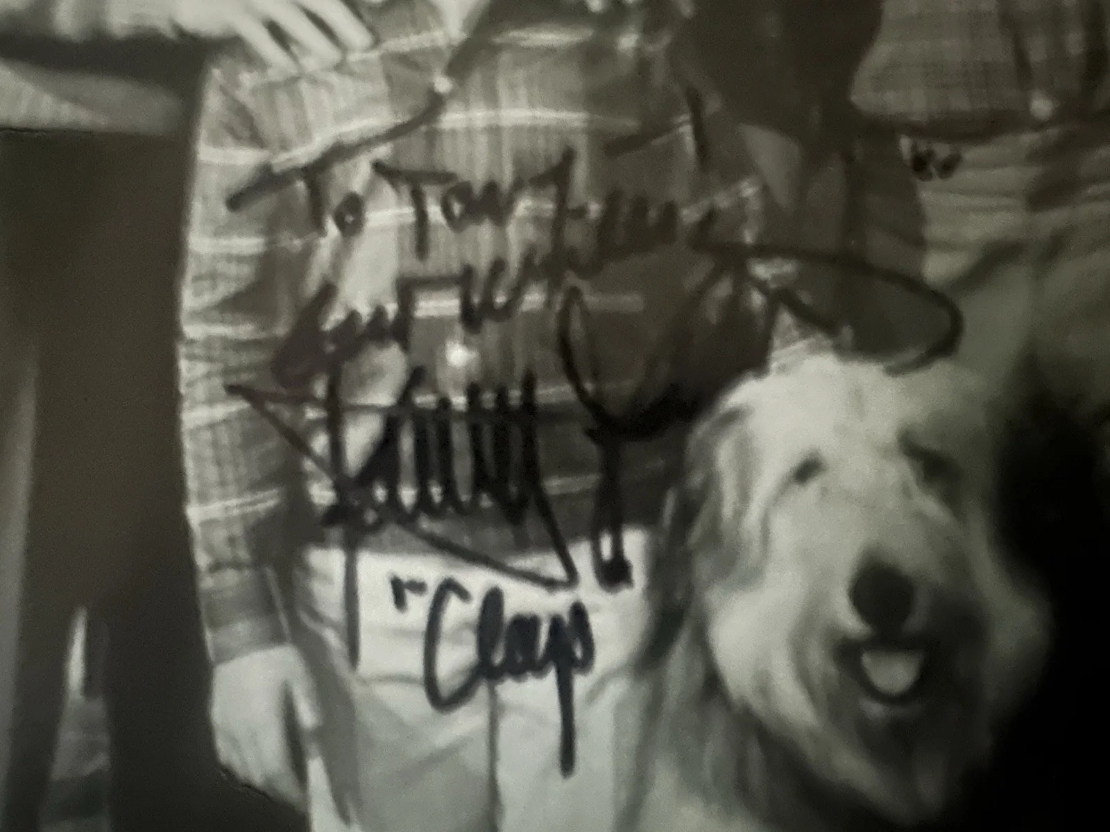Stanley Livingston My Three Sons Autographed 8x10 Black And White Photo, изображение 4