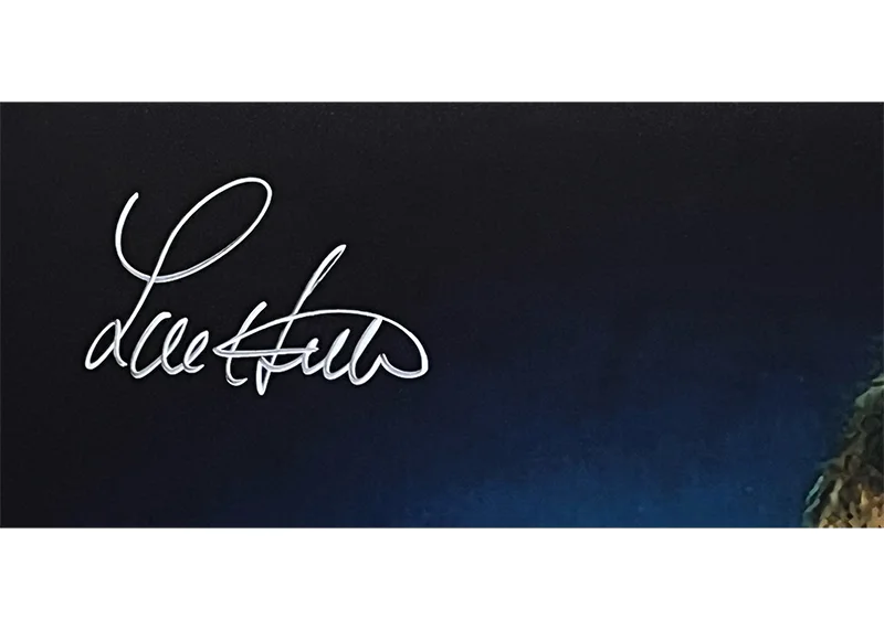 Lou Ferrigno Signed The Incredible Hulk 11x14 Photo JSA, изображение 2