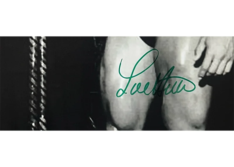 Lou Ferrigno Signed 11x14 Photo With Arnold Schwarzenegger JSA, изображение 2