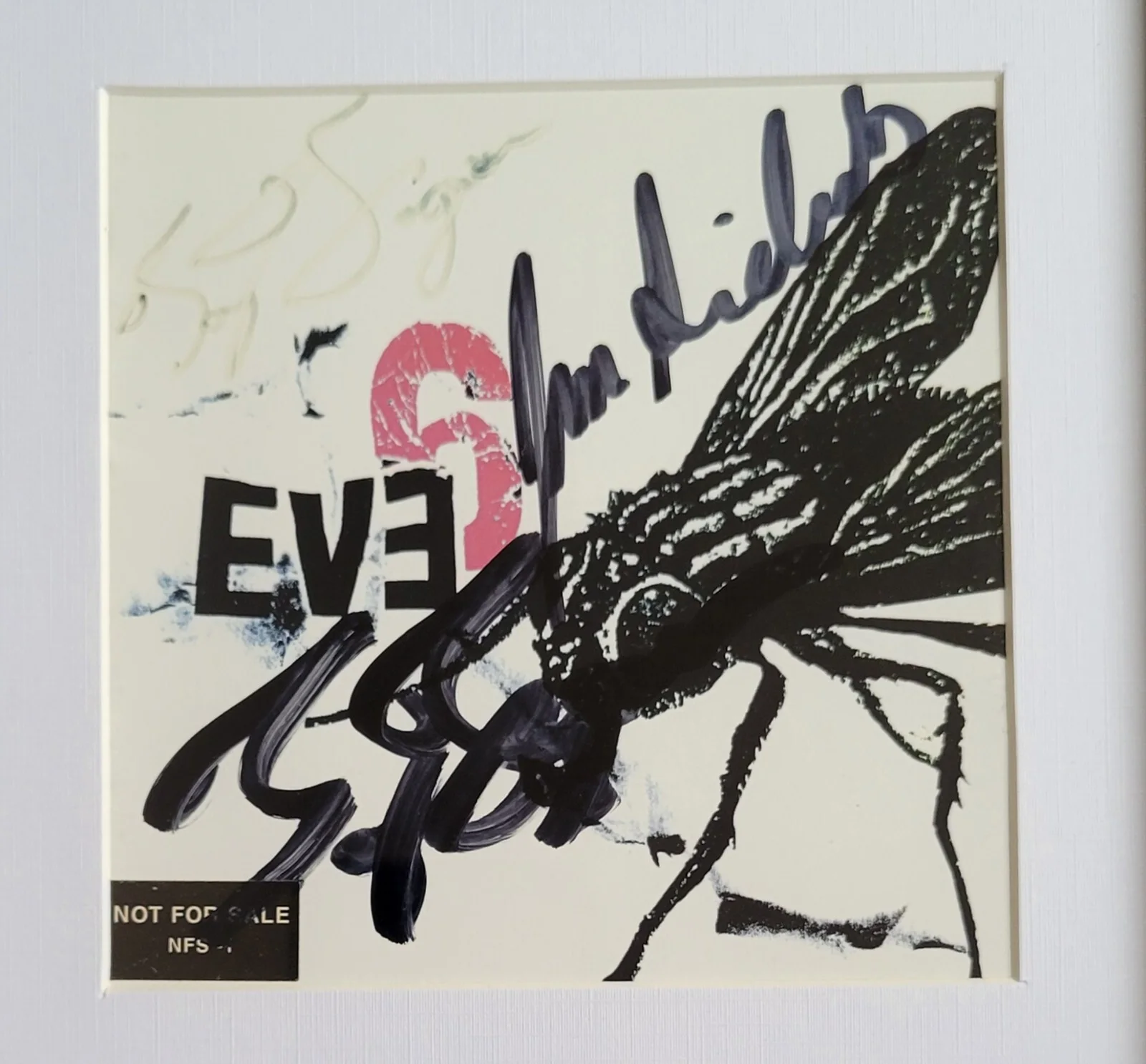 EVE 6 SIGNED CD DISPLAY BECKETT BAS COA MUSIC AUTOGRAPHED JON TONY BAND, изображение 3
