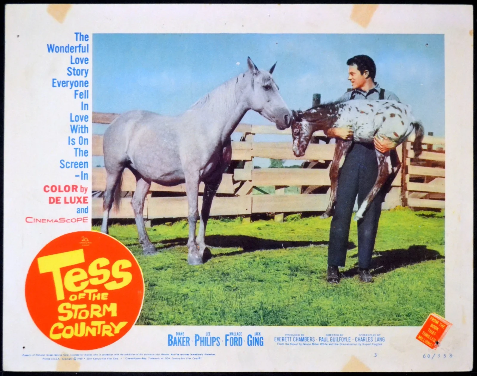 TESS OF THE STORM COUNTRY 1960 Diane Baker, Jack Ging 4 LOBBY CARDS, изображение 2