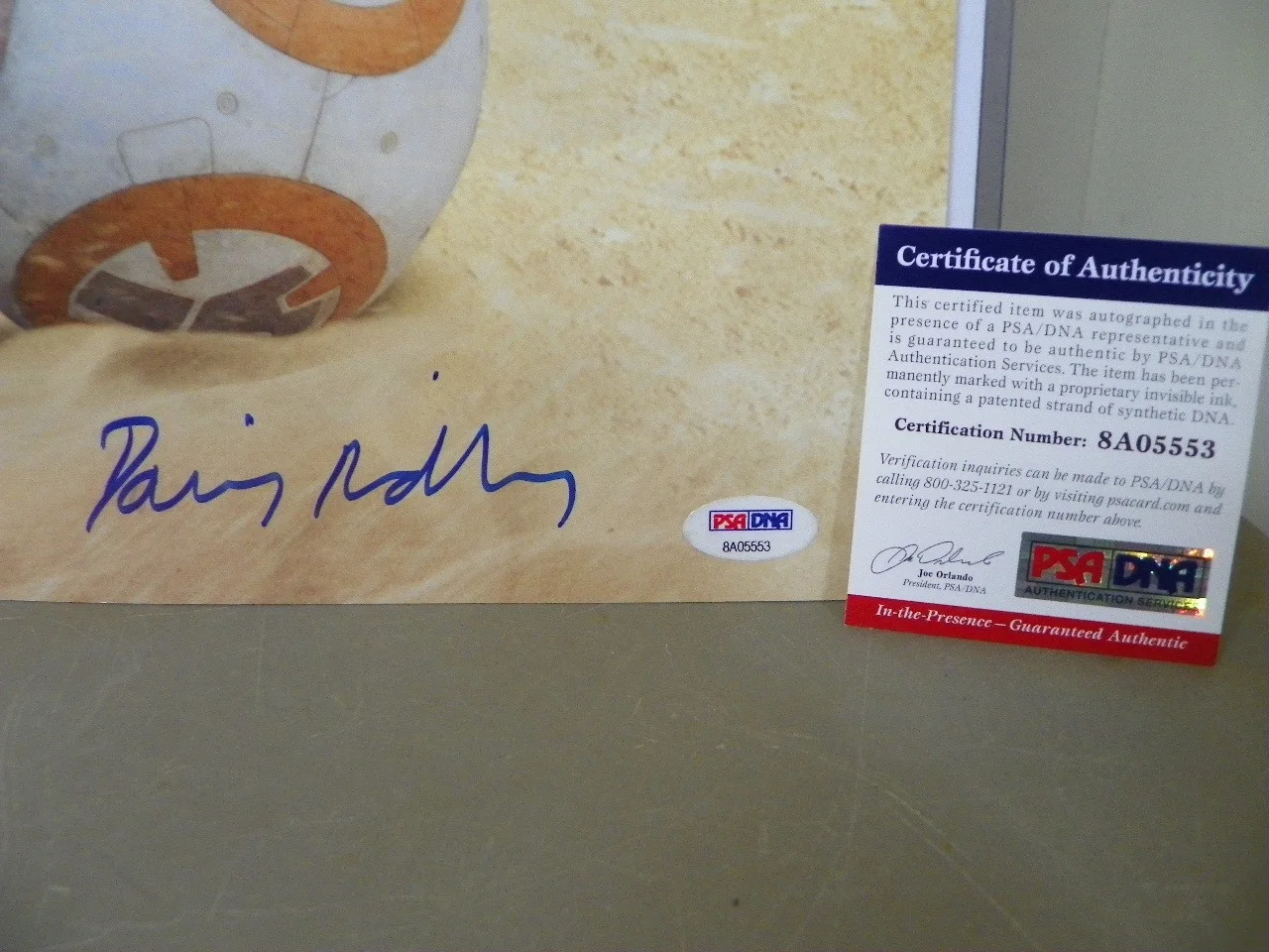Daisy Ridley — Star Wars Daisy Ridley Rey Signed Autographed 16X20 Photo PSA BB-8 Tie Fighter, image 2