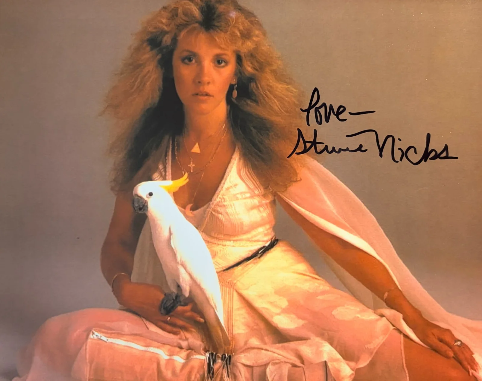STEVIE NICKS Signed•Vintage Color 8x10 Photograph•Stunning Autographed Pic w COA, изображение 2