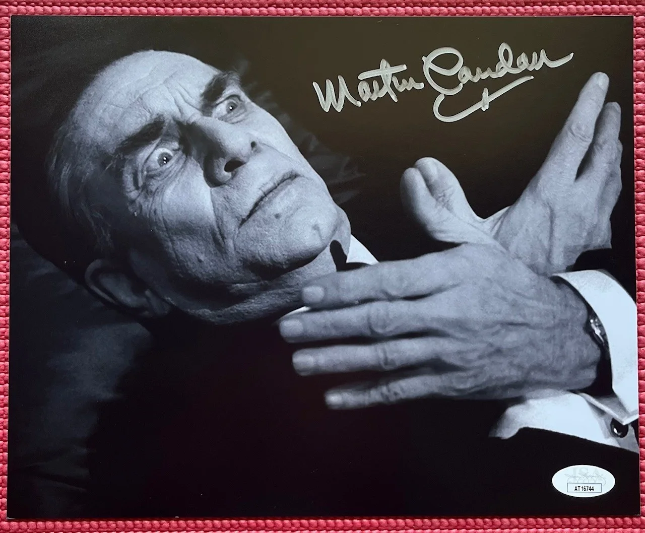 Martin Landeau — JSA COA autographed MARTIN LANDAU signed BELA LUGOSI photo Tim Burton's ED WOOD, изображение 2