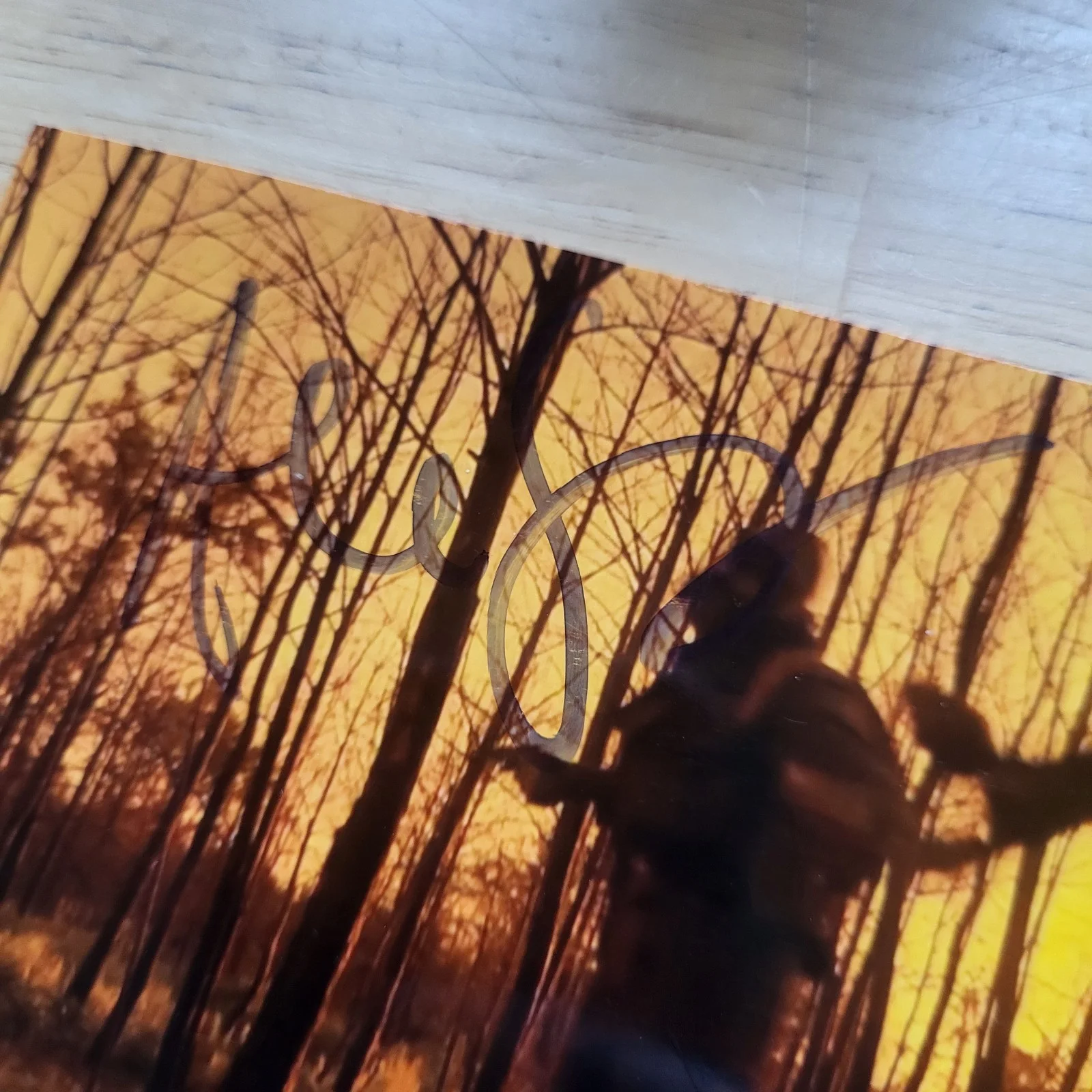 Alex Skuby — Alex Skuby Fear The Walking Dead Hand Signed 4x6 Autograph Photos, изображение 2