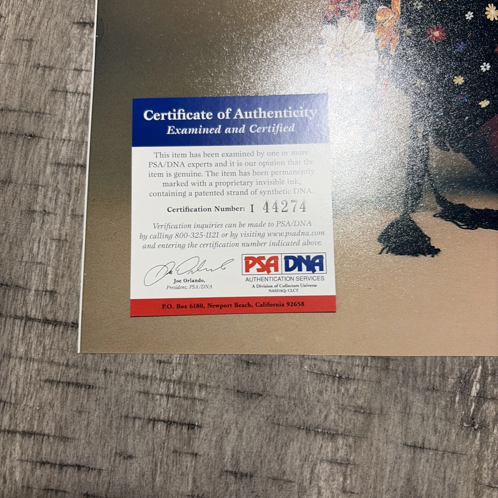 Super Rare, Younger Michael Jackson Signed Photo Psa, image 2