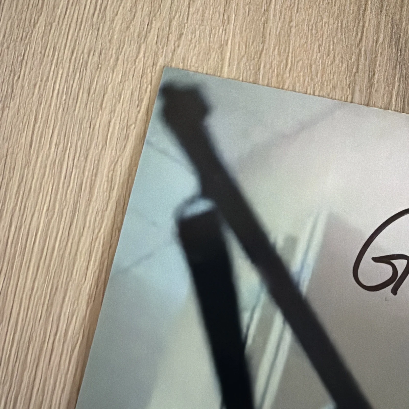 Dawn Of The Dead signed 8x10 photo Gaylen Ross JSA Authenticated Autograph, изображение 5