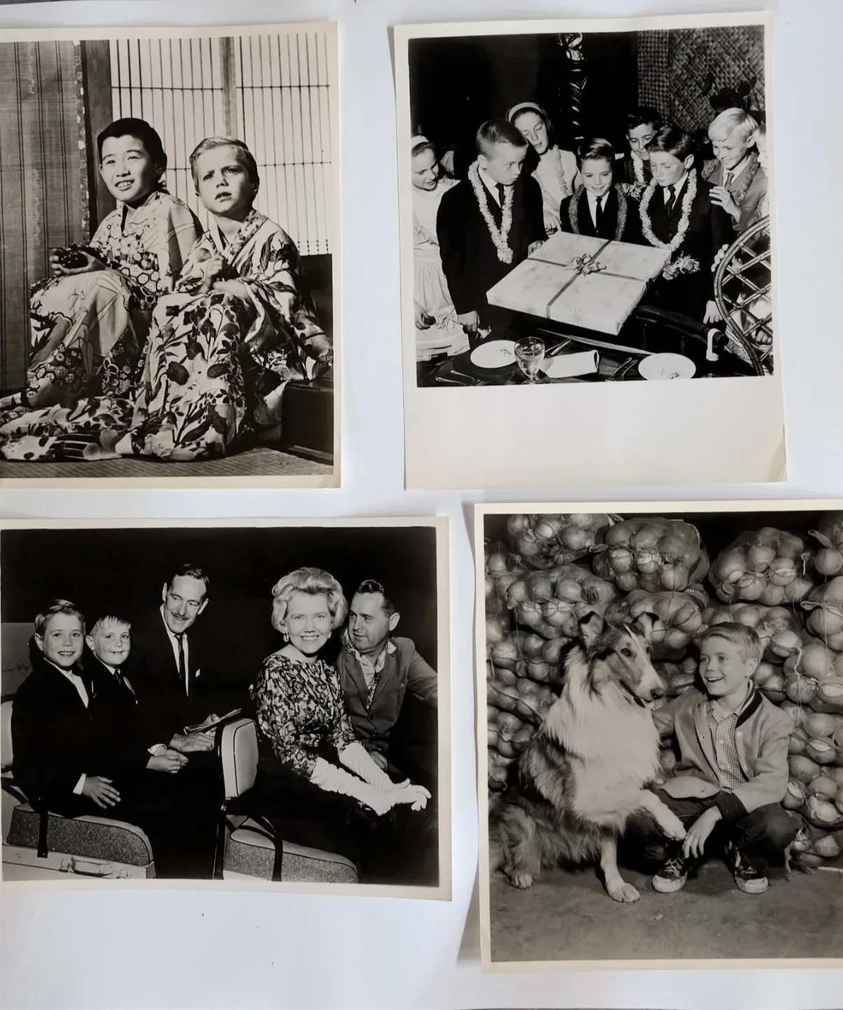 JON PROVOST AND LASSIE VINTAGE PHOTO LOT OF 6 #V, изображение 2