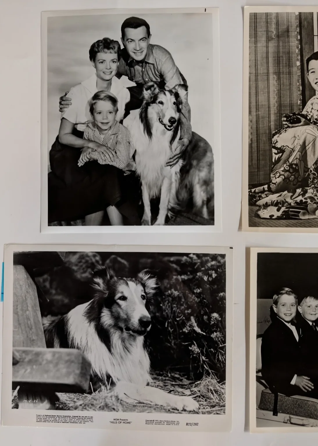 JON PROVOST AND LASSIE VINTAGE PHOTO LOT OF 6 #V, изображение 3