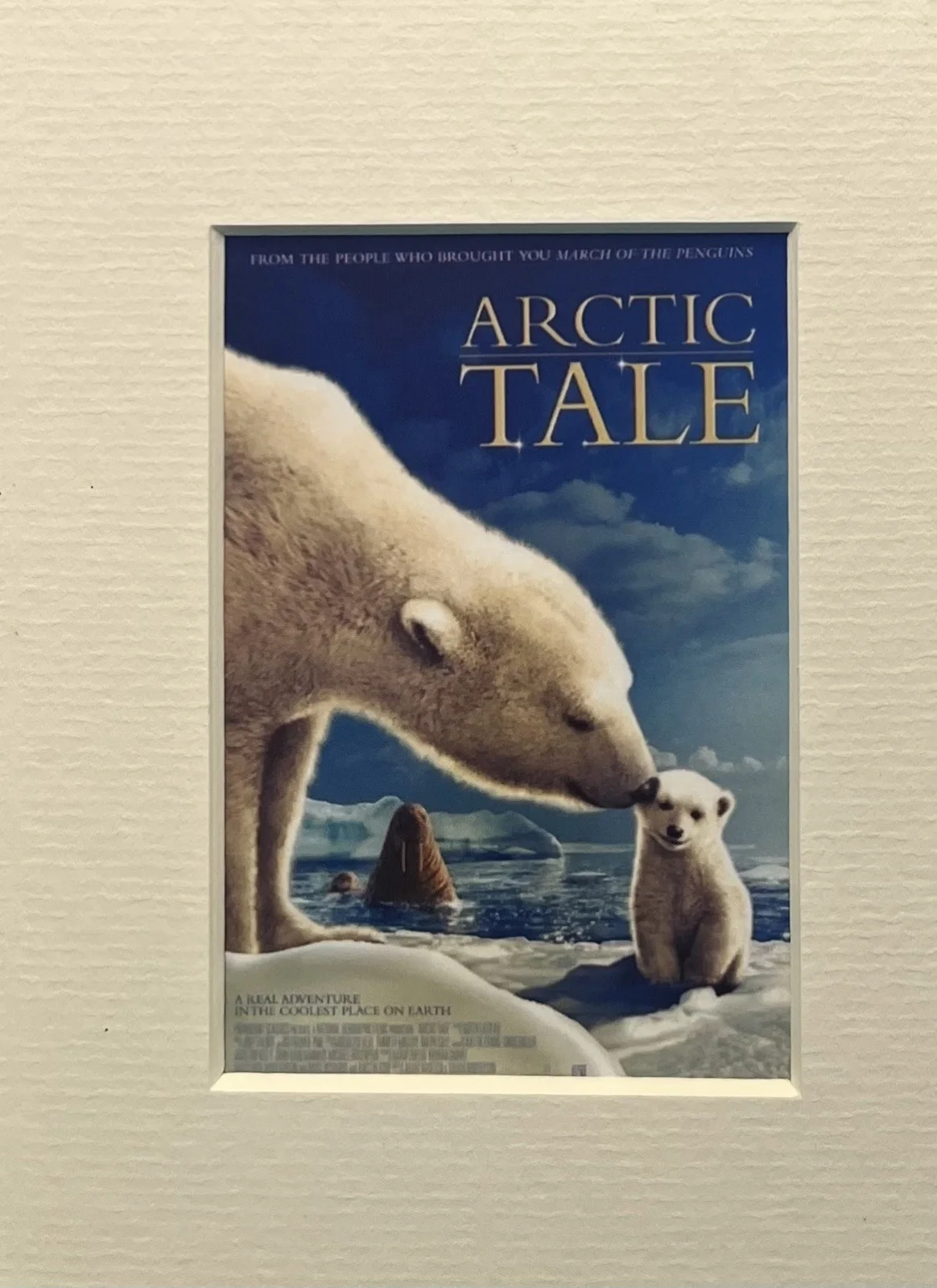 ARCTIC TALE. 35mm Film Cell Mounted Display, image 2