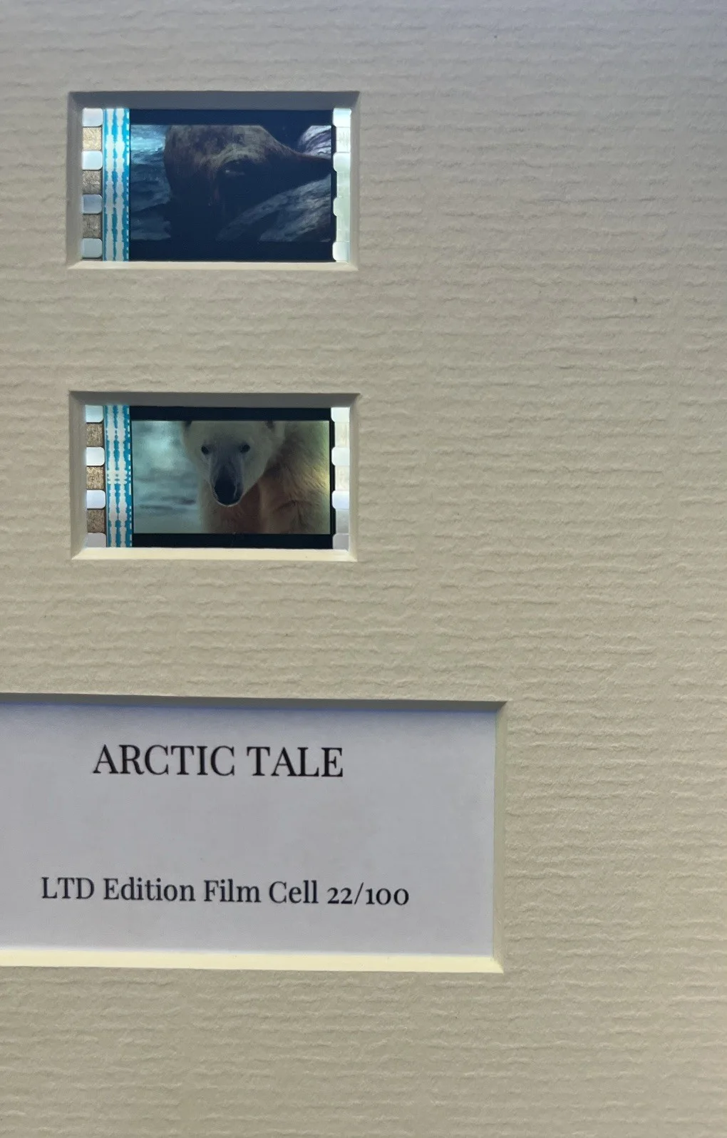 ARCTIC TALE. 35mm Film Cell Mounted Display, image 3
