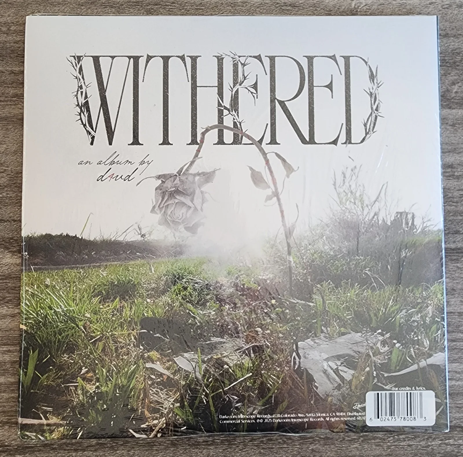 D4VD Signed Withered Vinyl Record Insert Pure Cloudy White Colored NEW SEALED, image 3