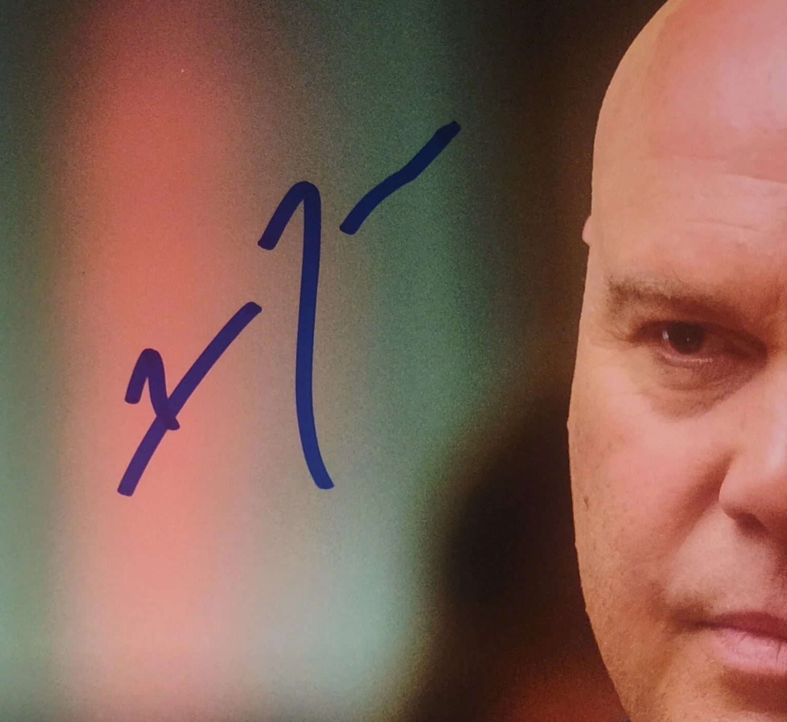 Vincent D'Onofrio Hand Signed 8x10 Photo COA Daredevil NO US TARIFFS, image 3