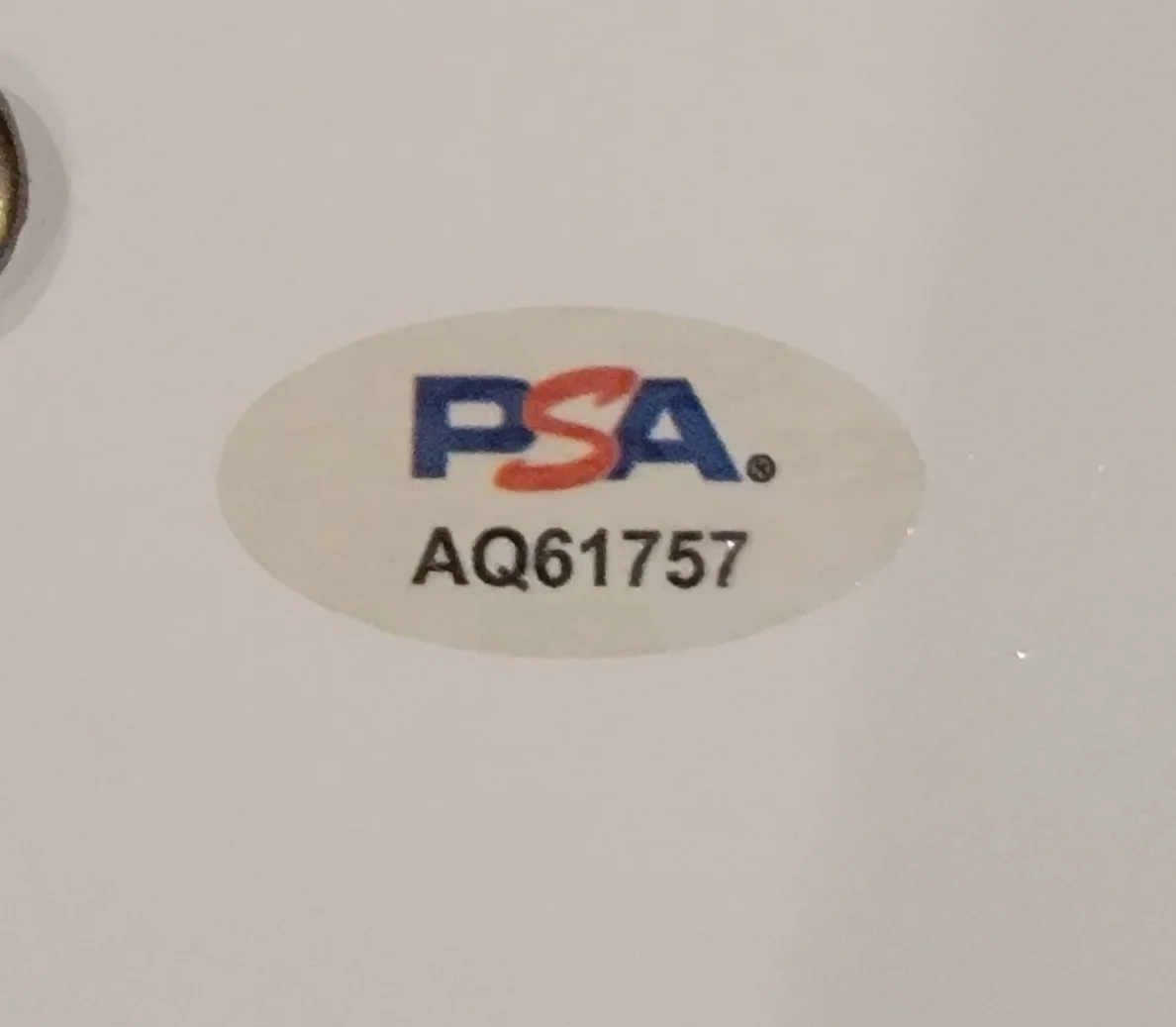 Wagner Moura — Wagner Moura signed The Secret Agent script full 144 pages PSA DNA autograph B, image 2
