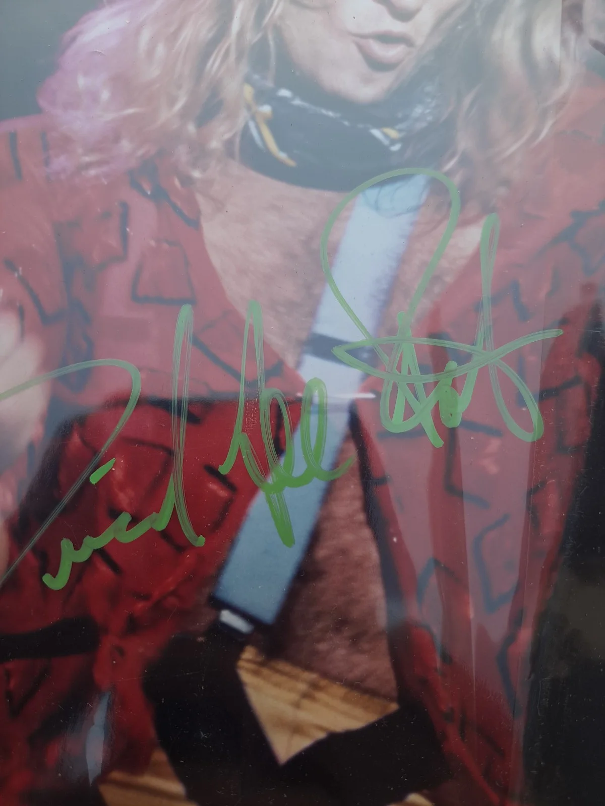 David Lee Roth (Van Halen) Hand Signed 8x10" Authentic Autograph w/COA RARE, image 2